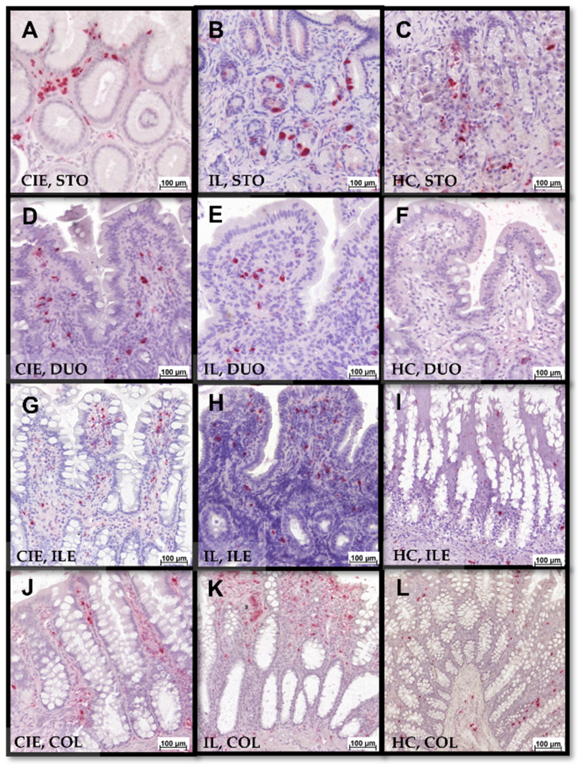 Animals 12 02044 g007