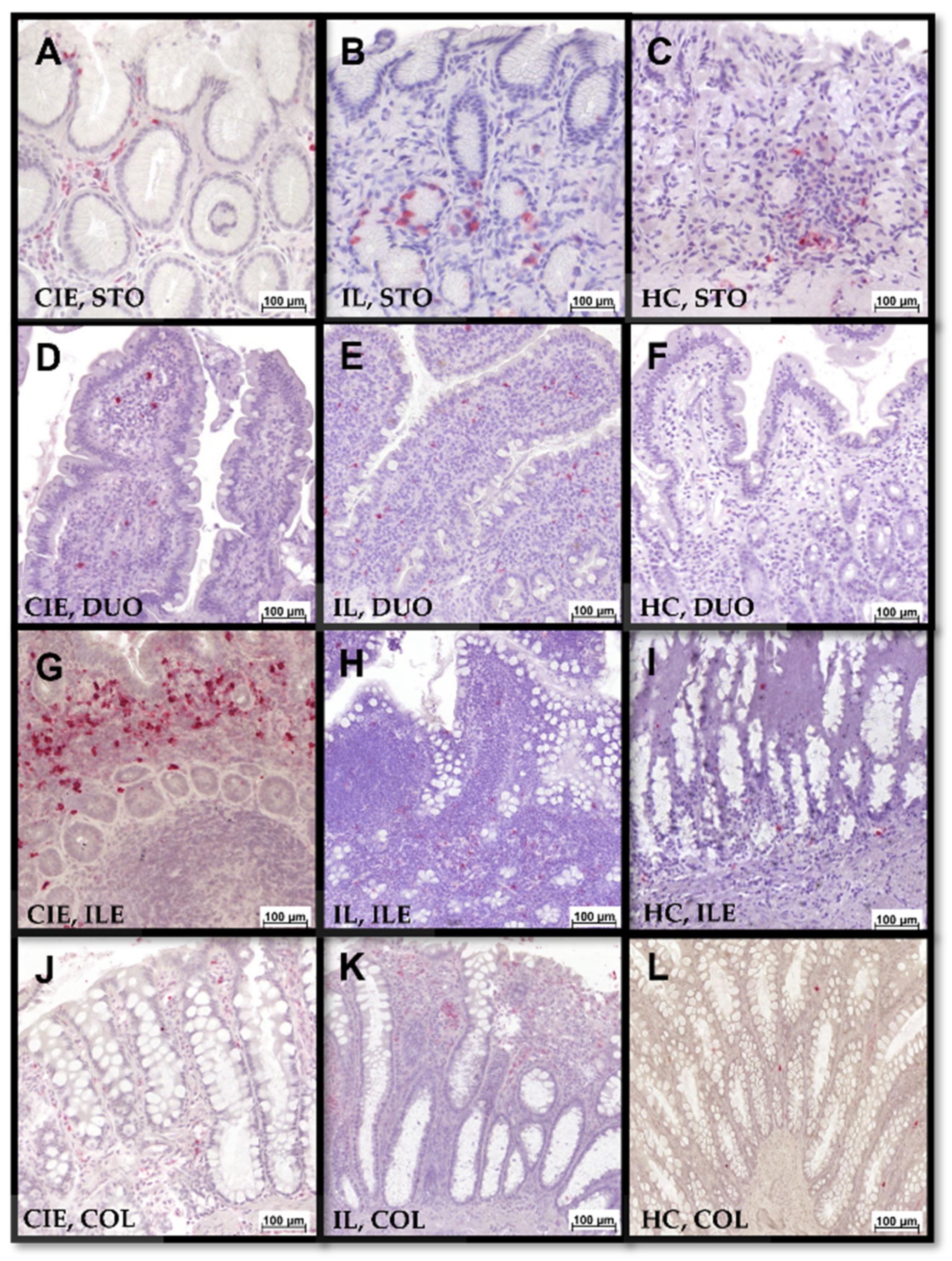 Animals 12 02044 g008