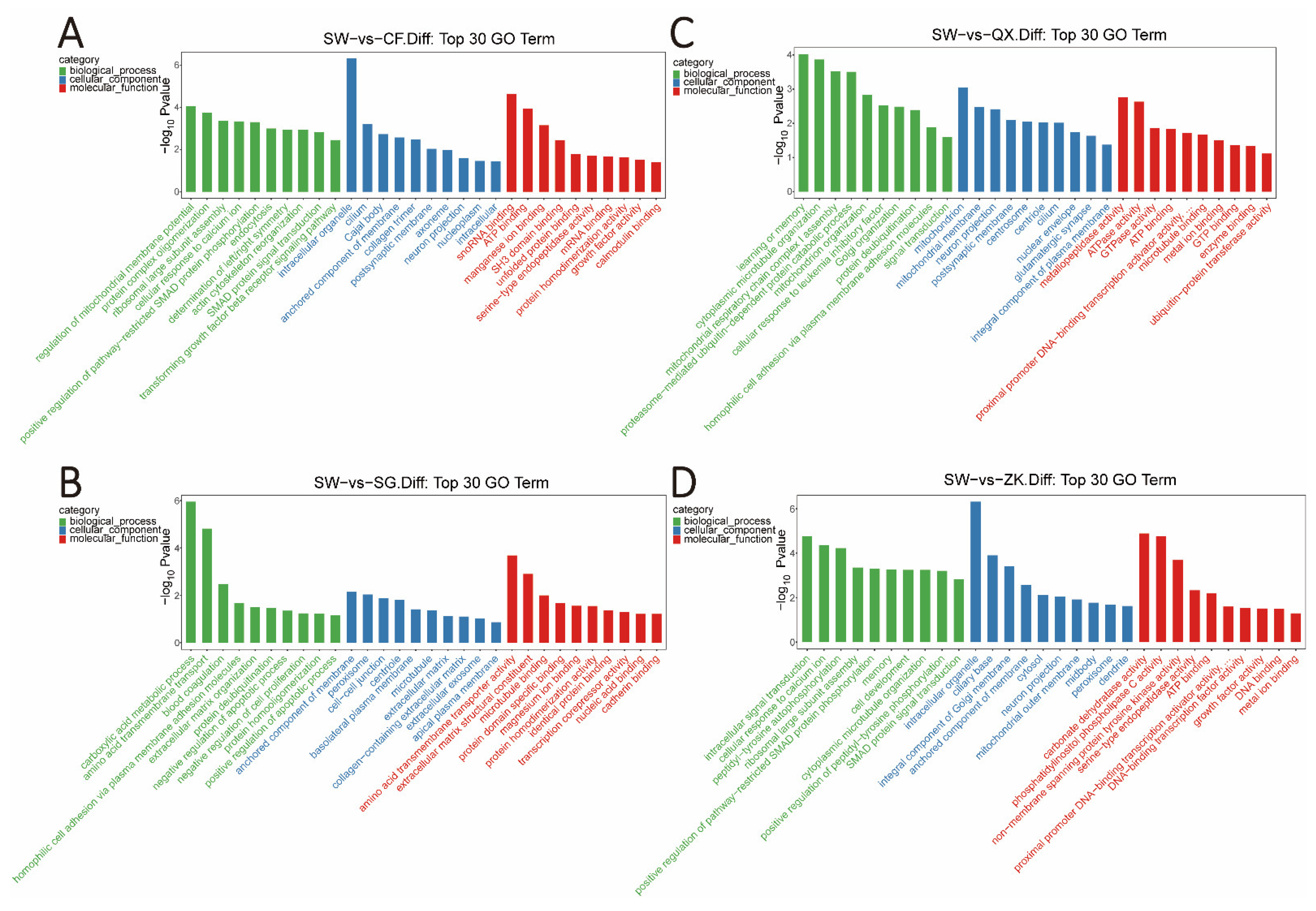 Animals 12 02052 g004