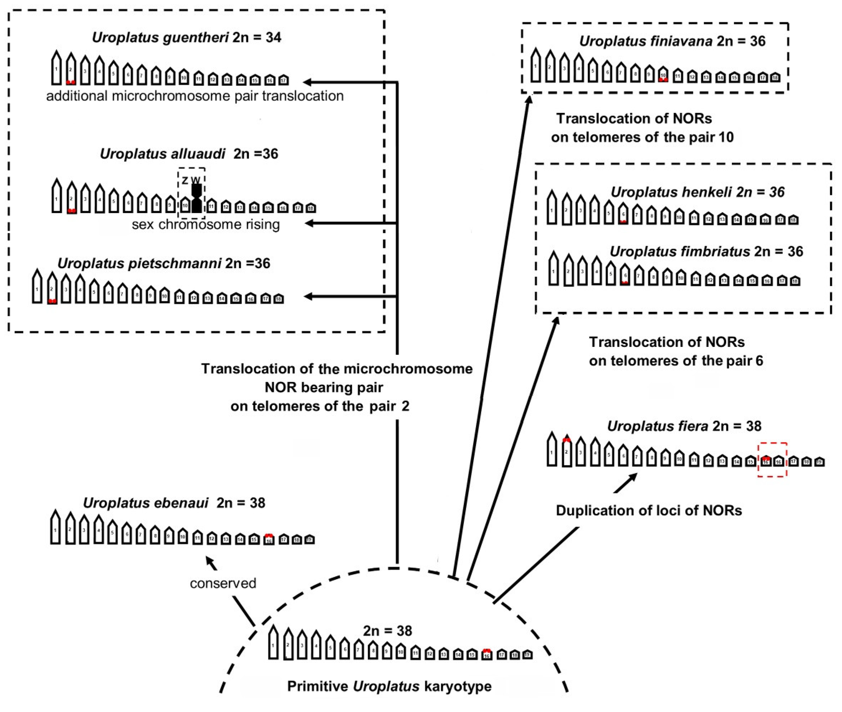 Animals 12 02054 g004