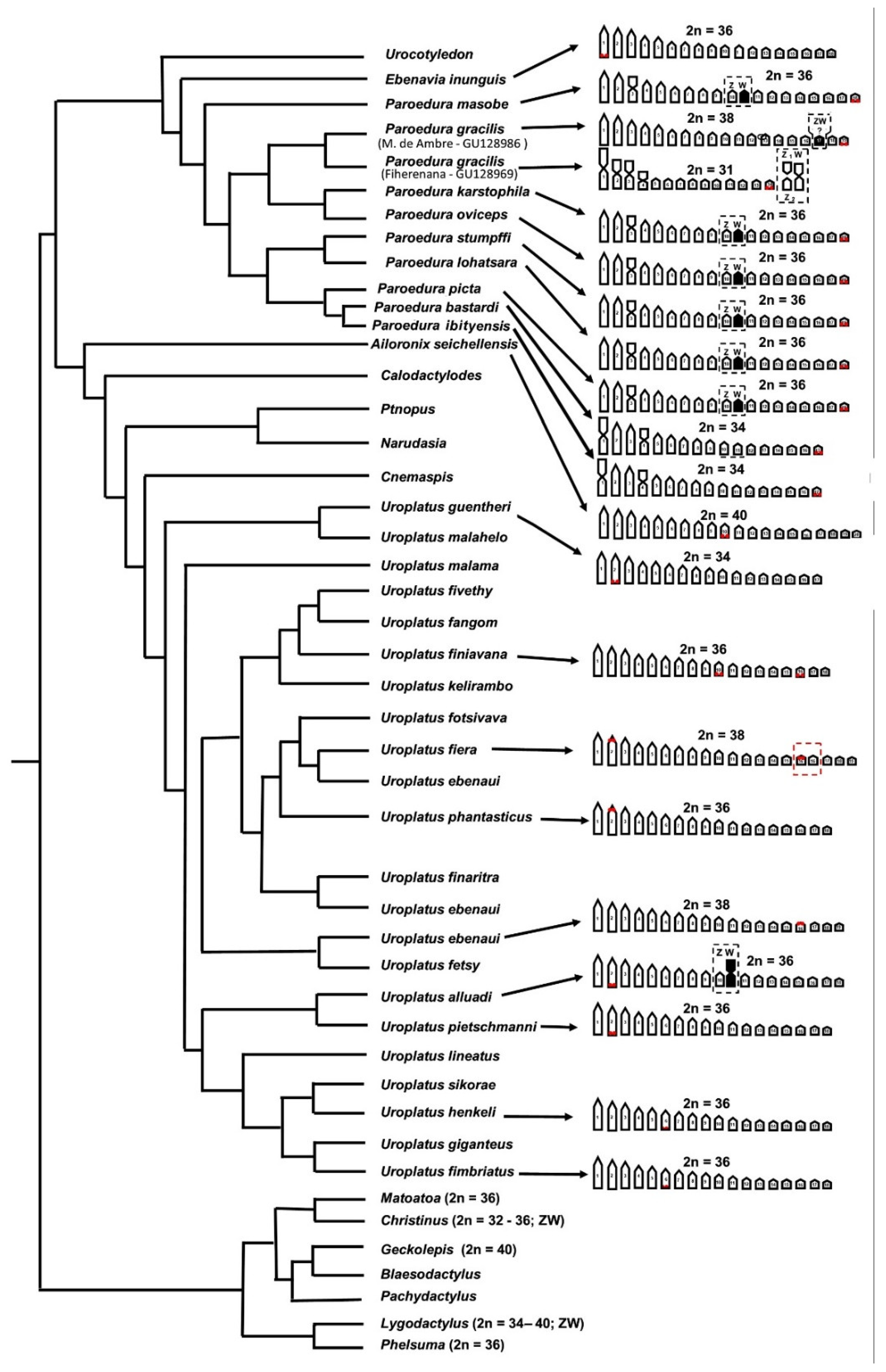 Animals 12 02054 g005