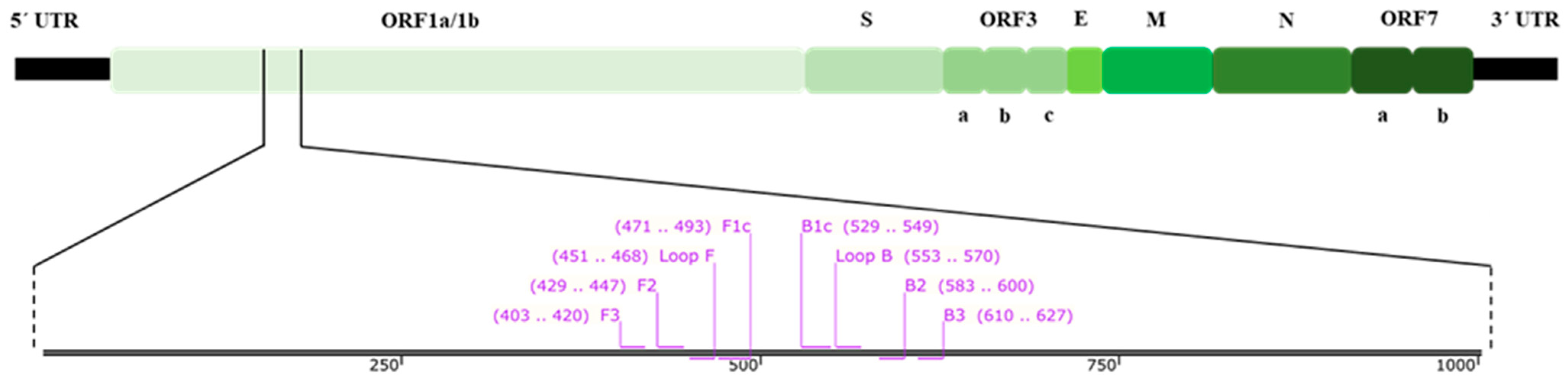 Animals 12 02075 g001