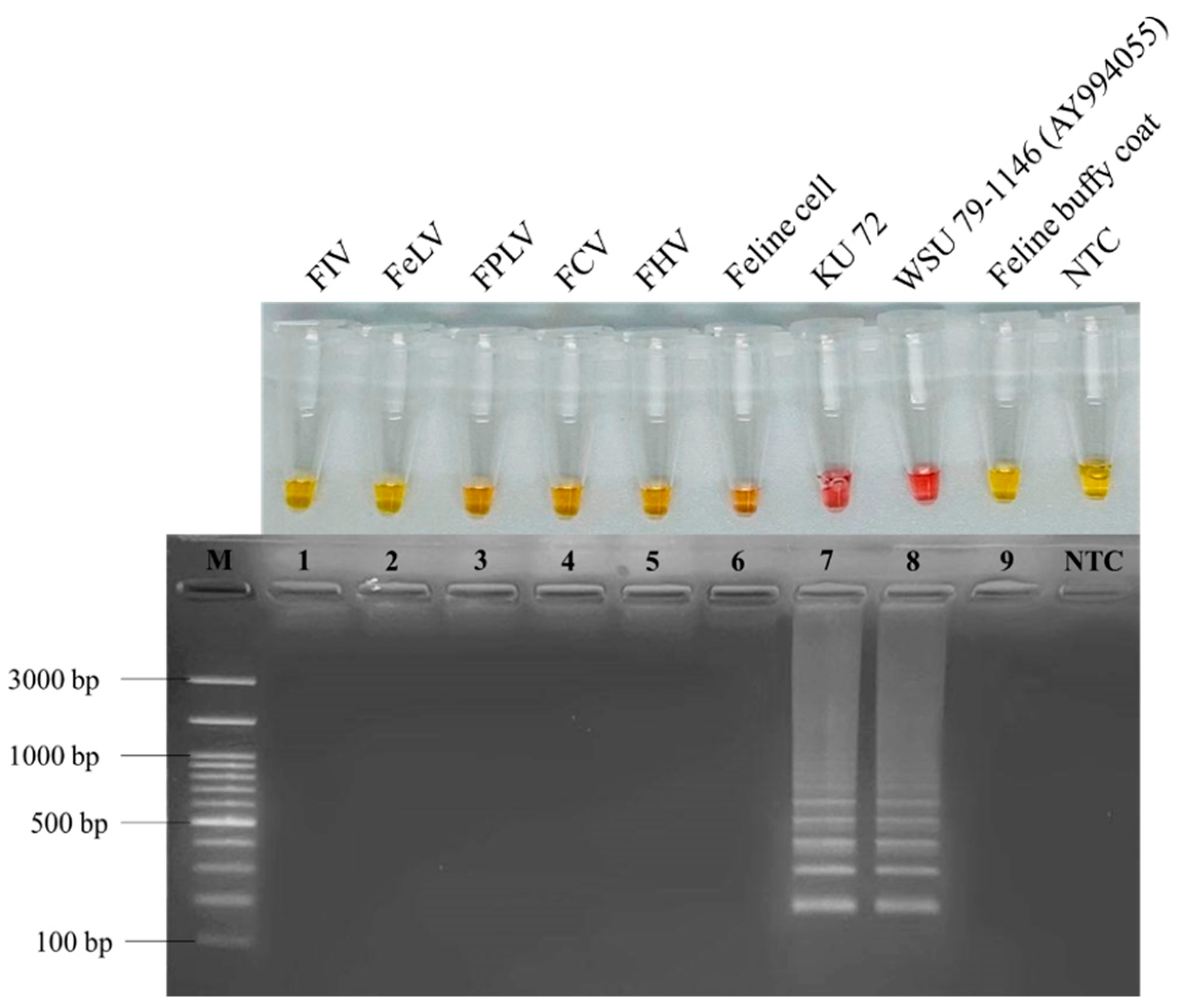 Animals 12 02075 g002