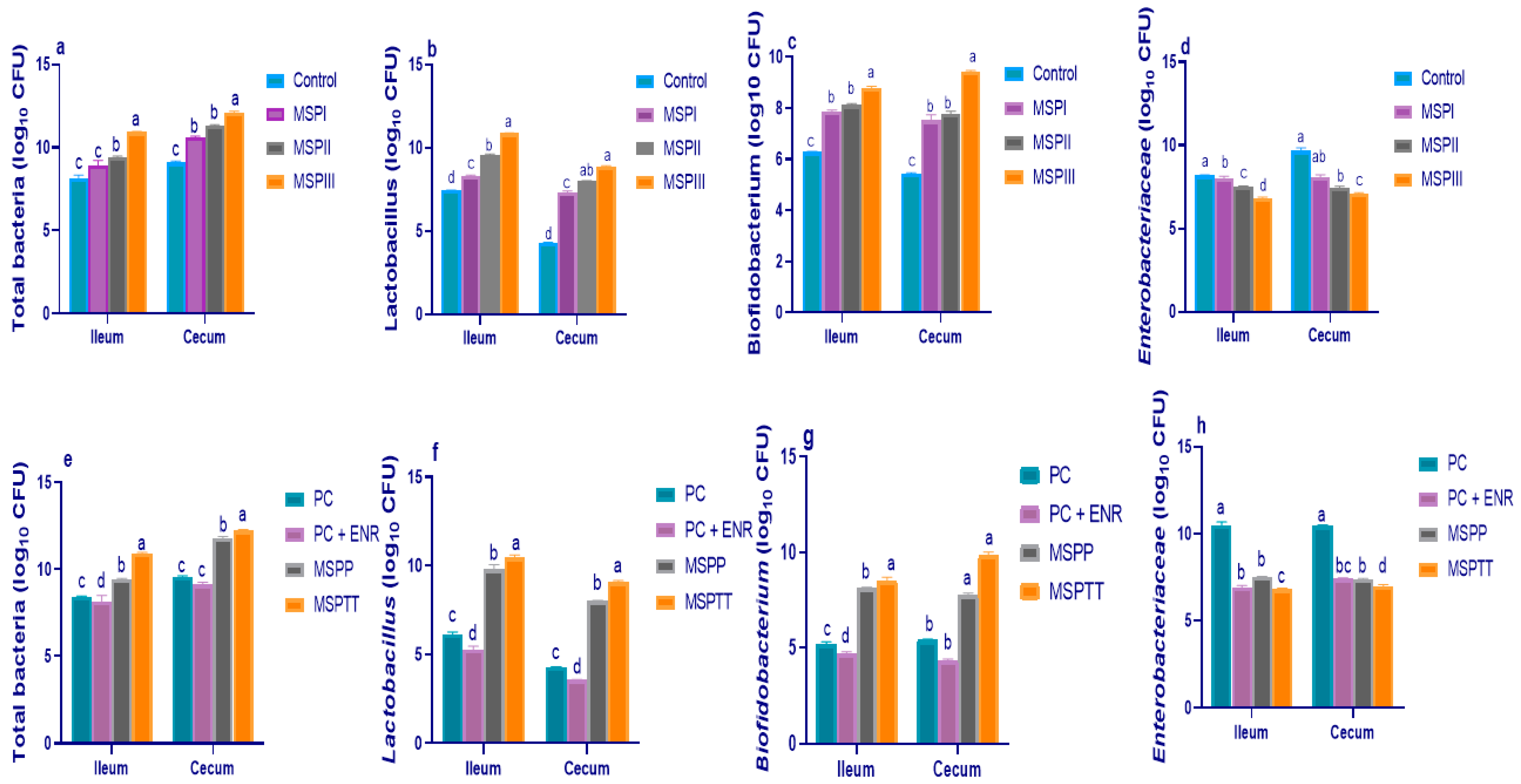 Animals 12 02082 g001