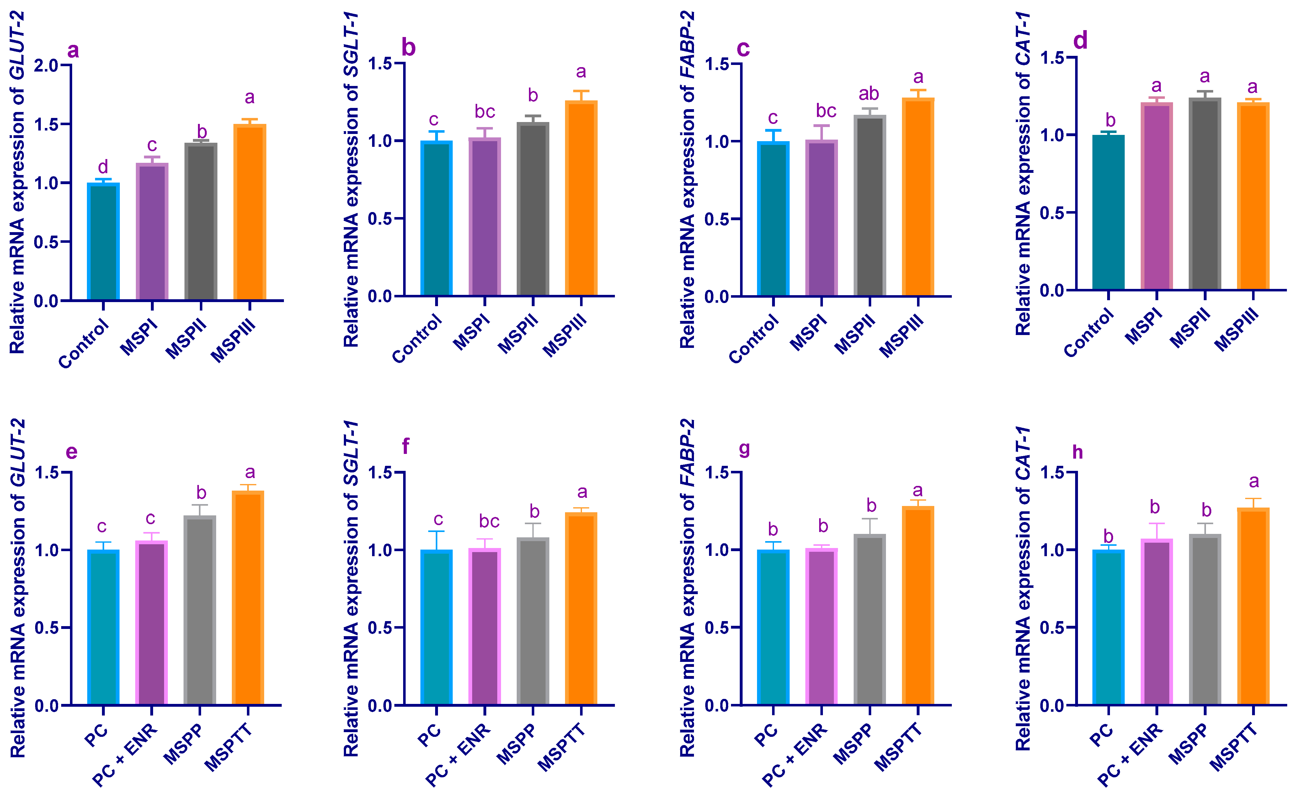 Animals 12 02082 g002