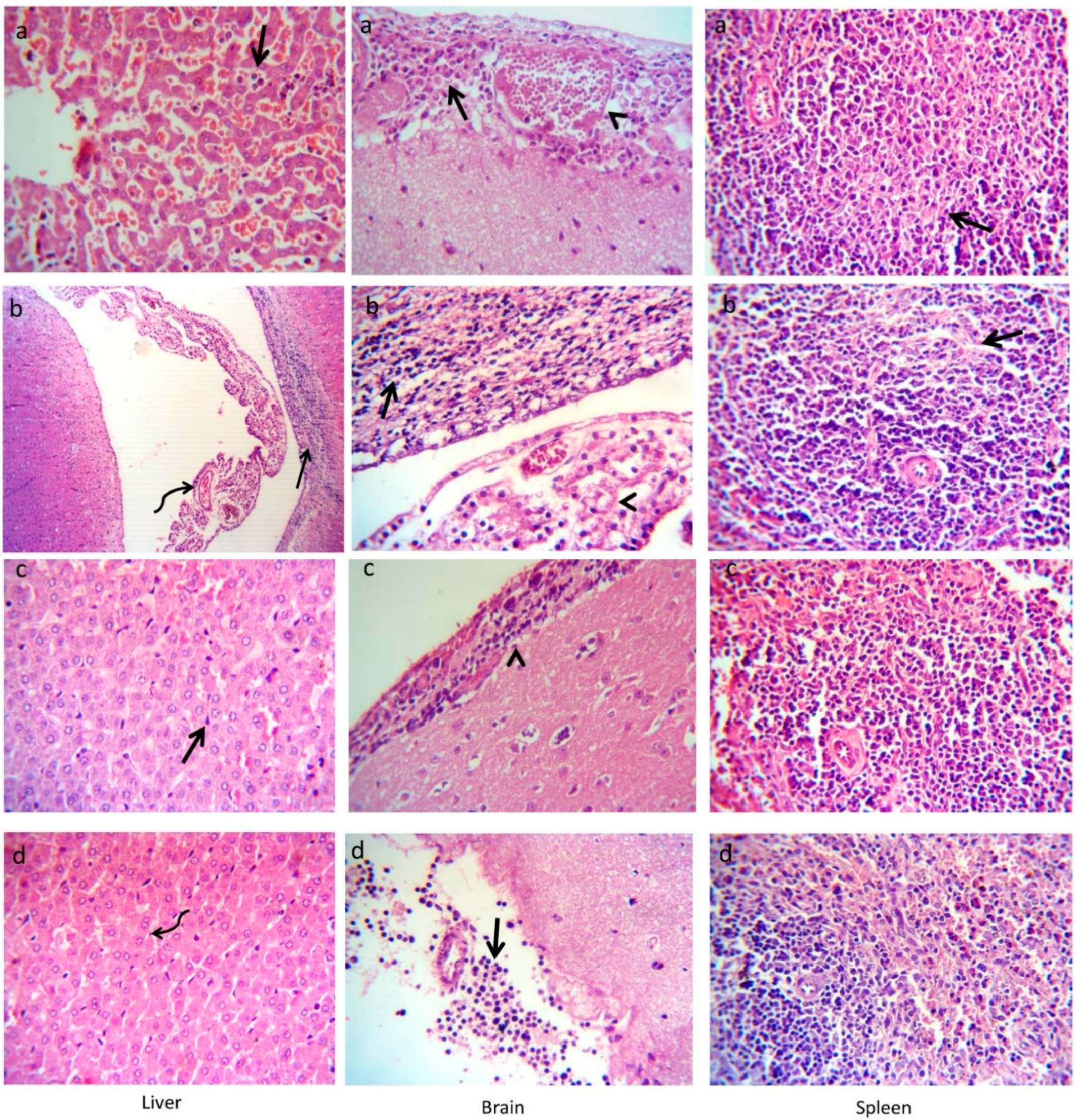 Animals 12 02082 g008