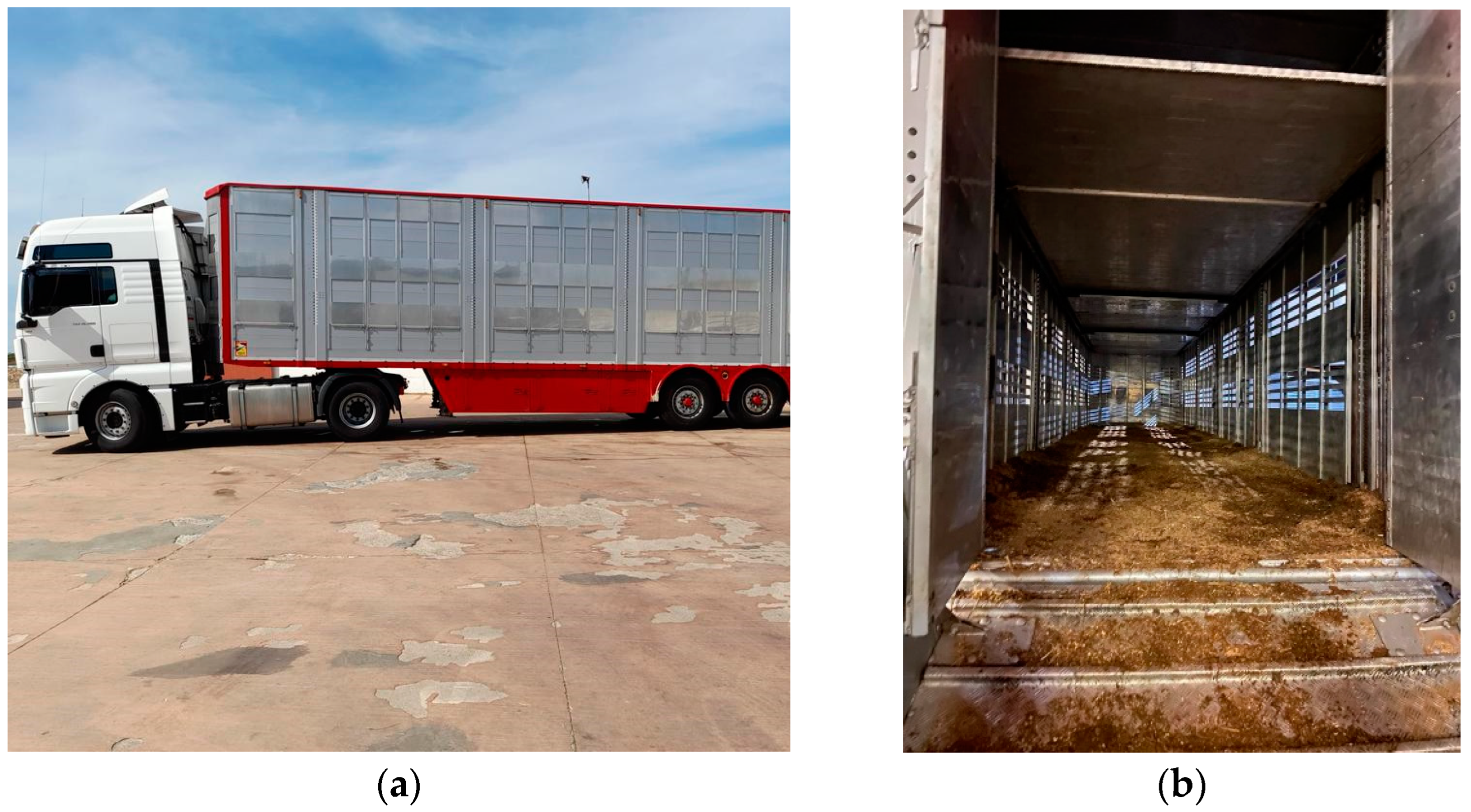 Animals 12 02083 g002