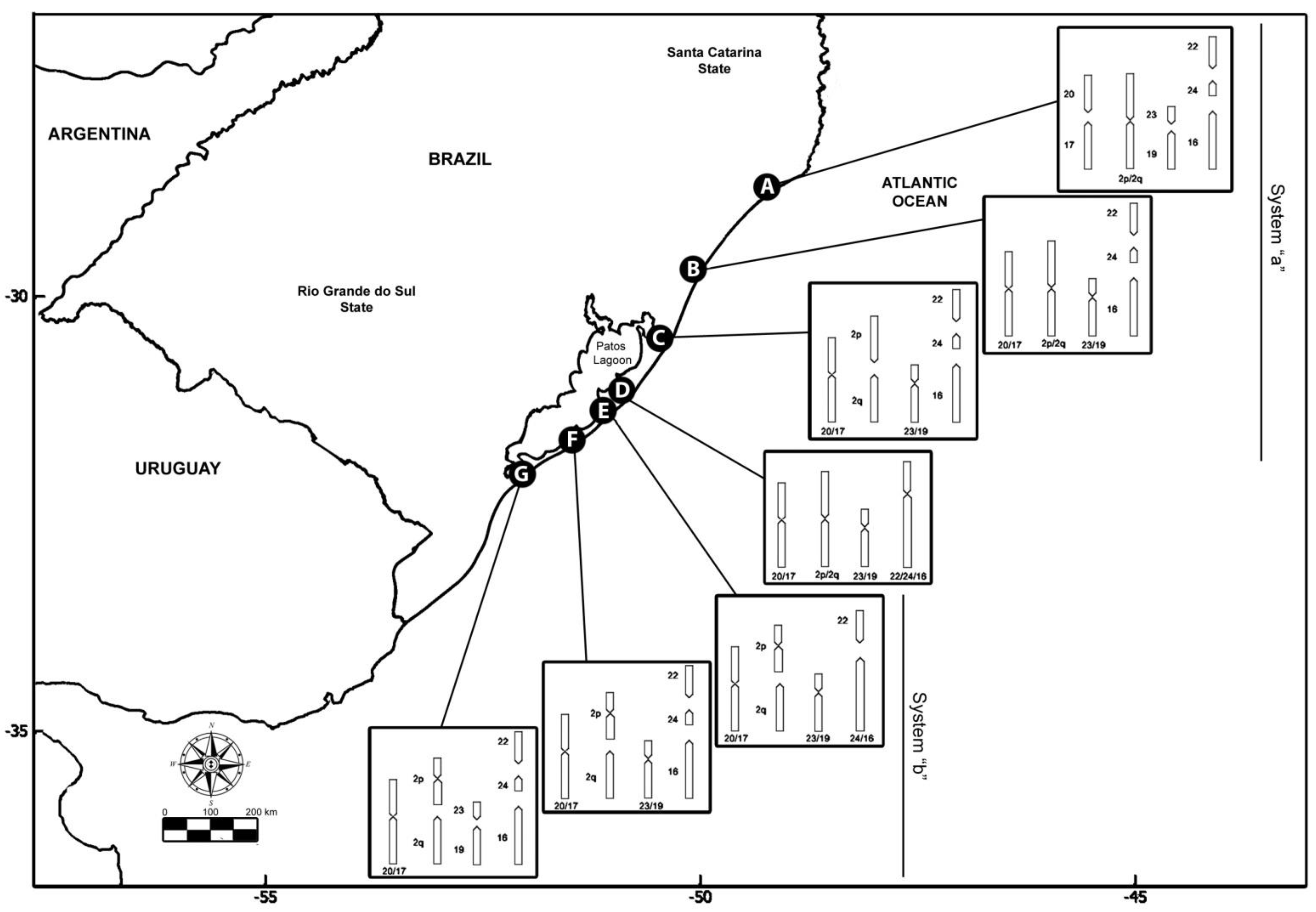 Animals 12 02091 g001