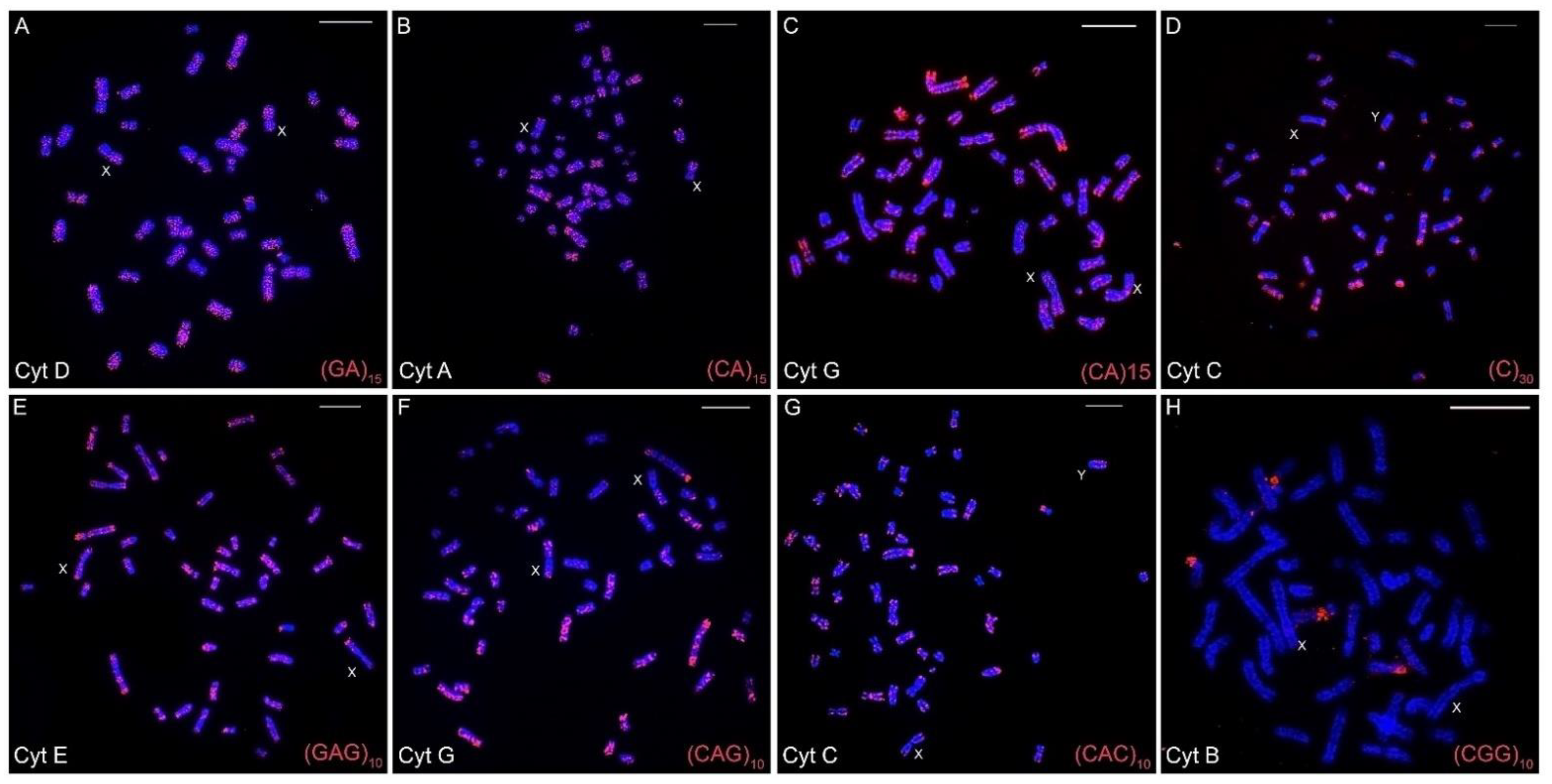 Animals 12 02091 g002