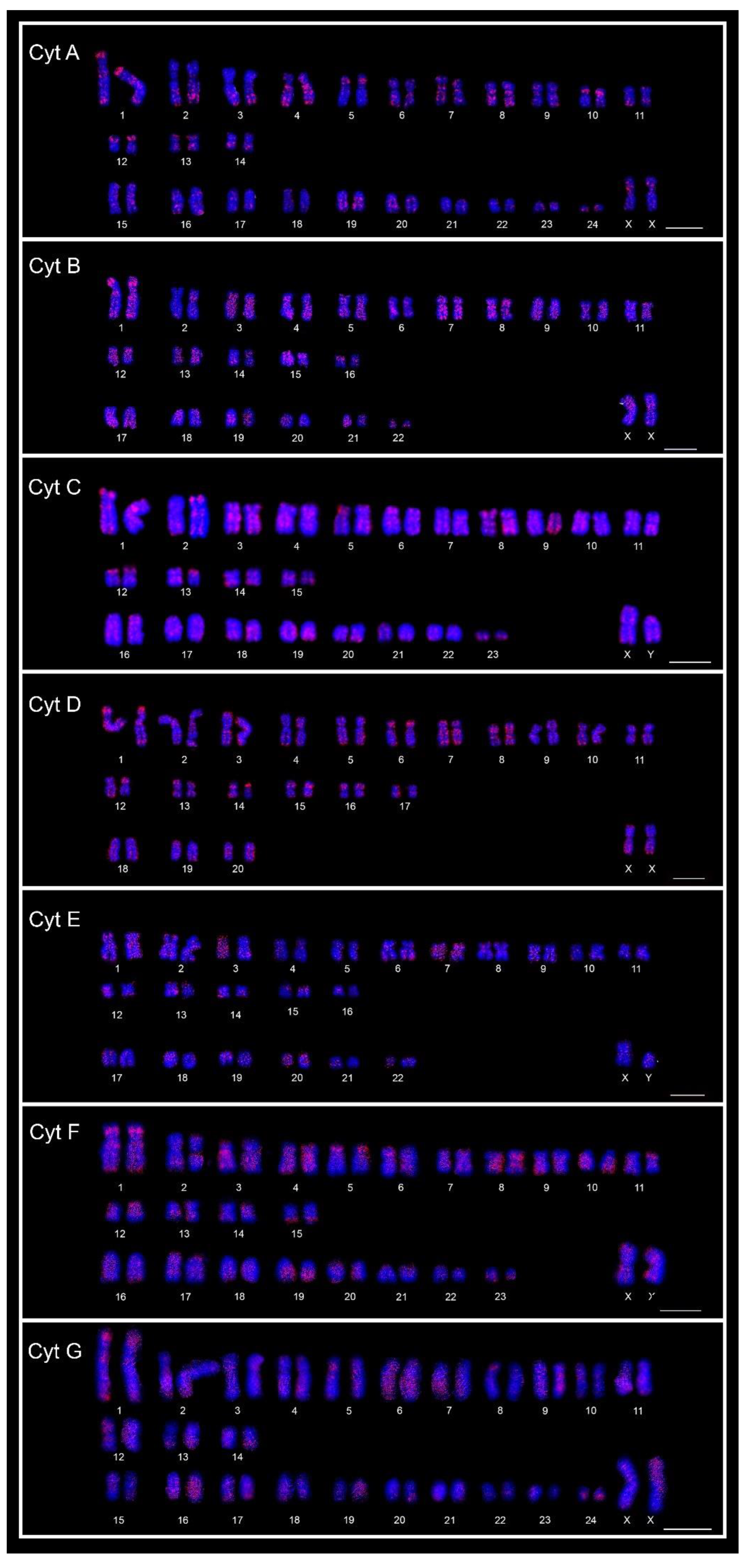 Animals 12 02091 g003