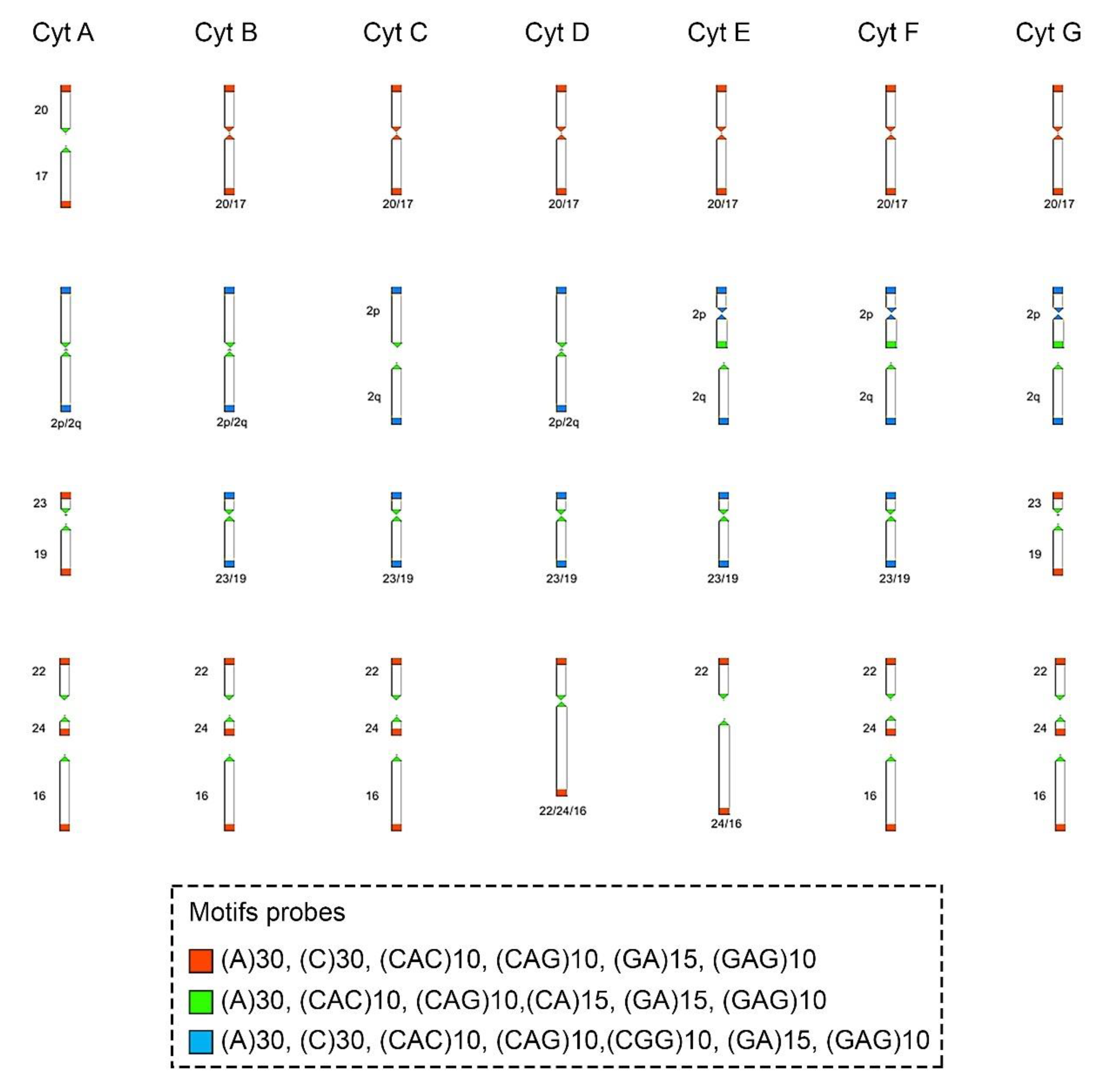 Animals 12 02091 g004