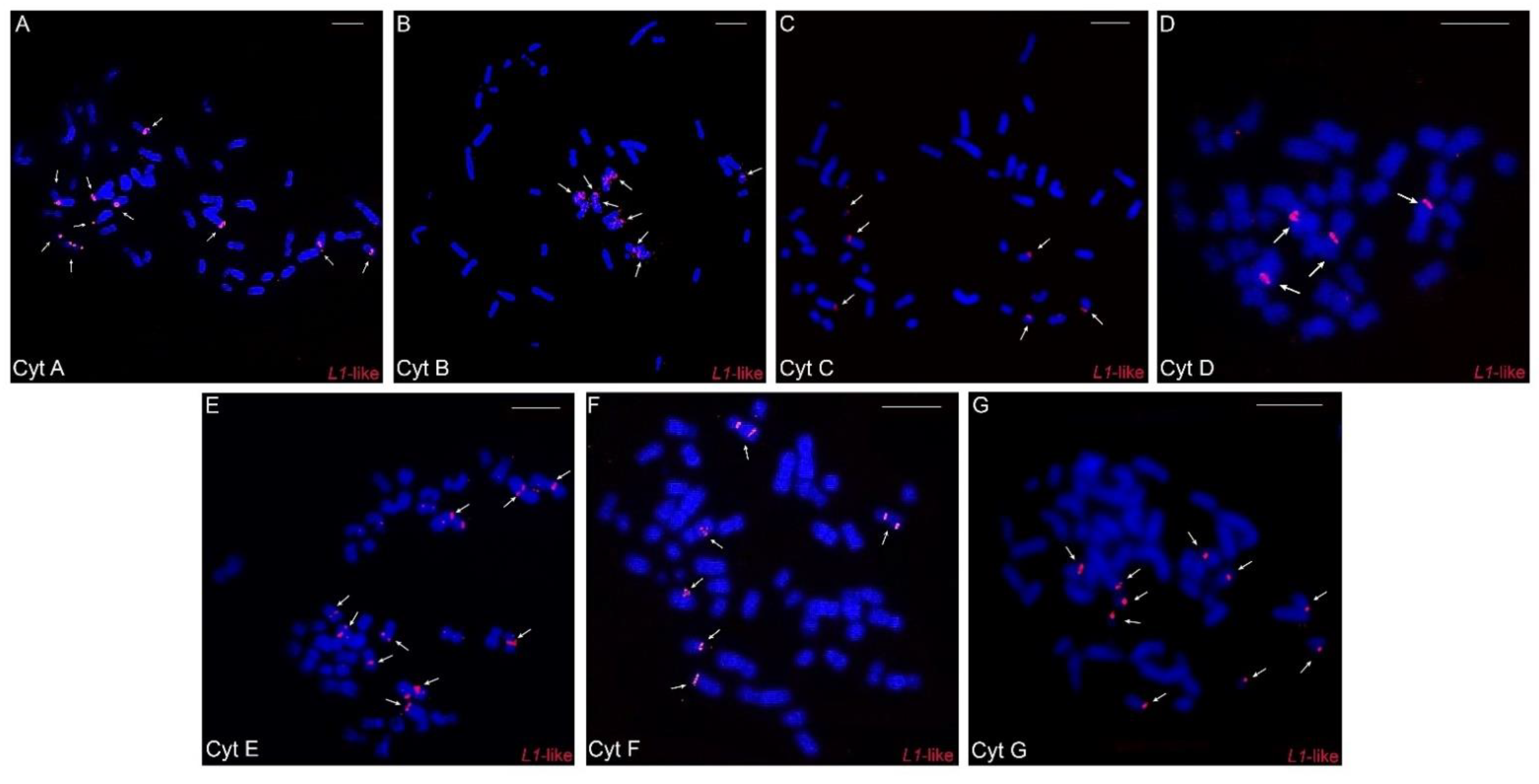 Animals 12 02091 g005