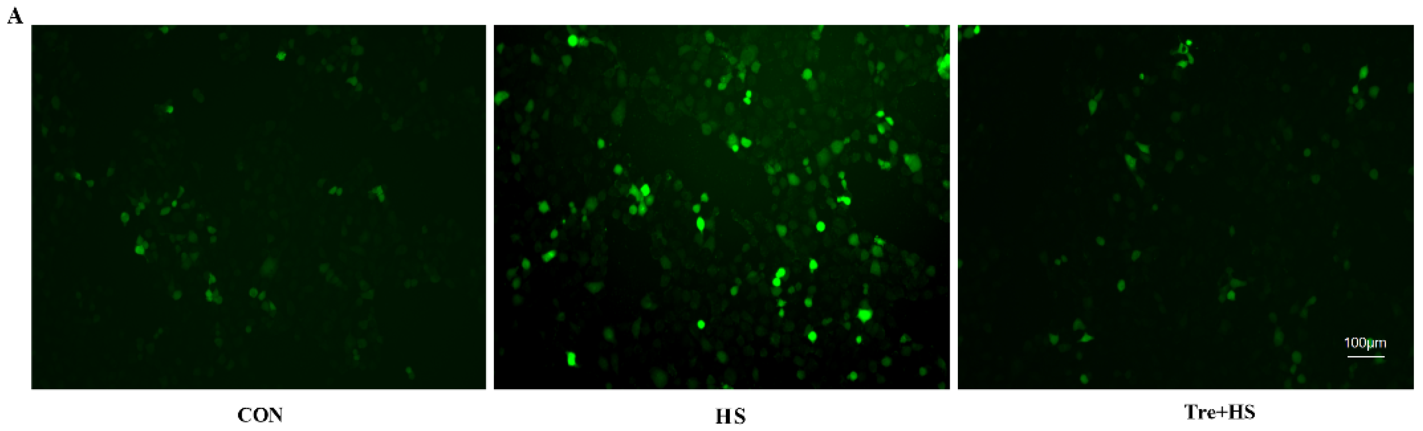 Animals 12 02093 g002a