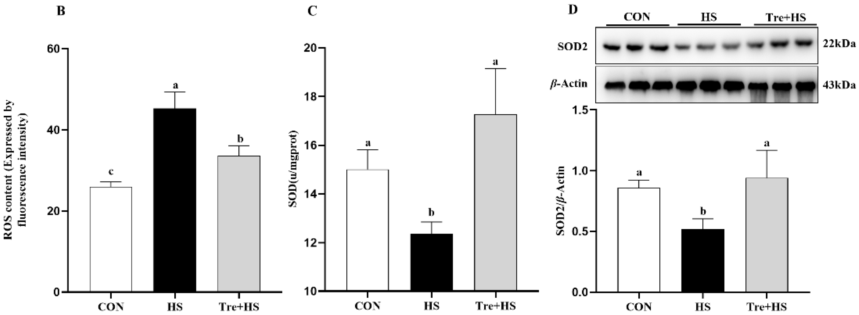 Animals 12 02093 g002b