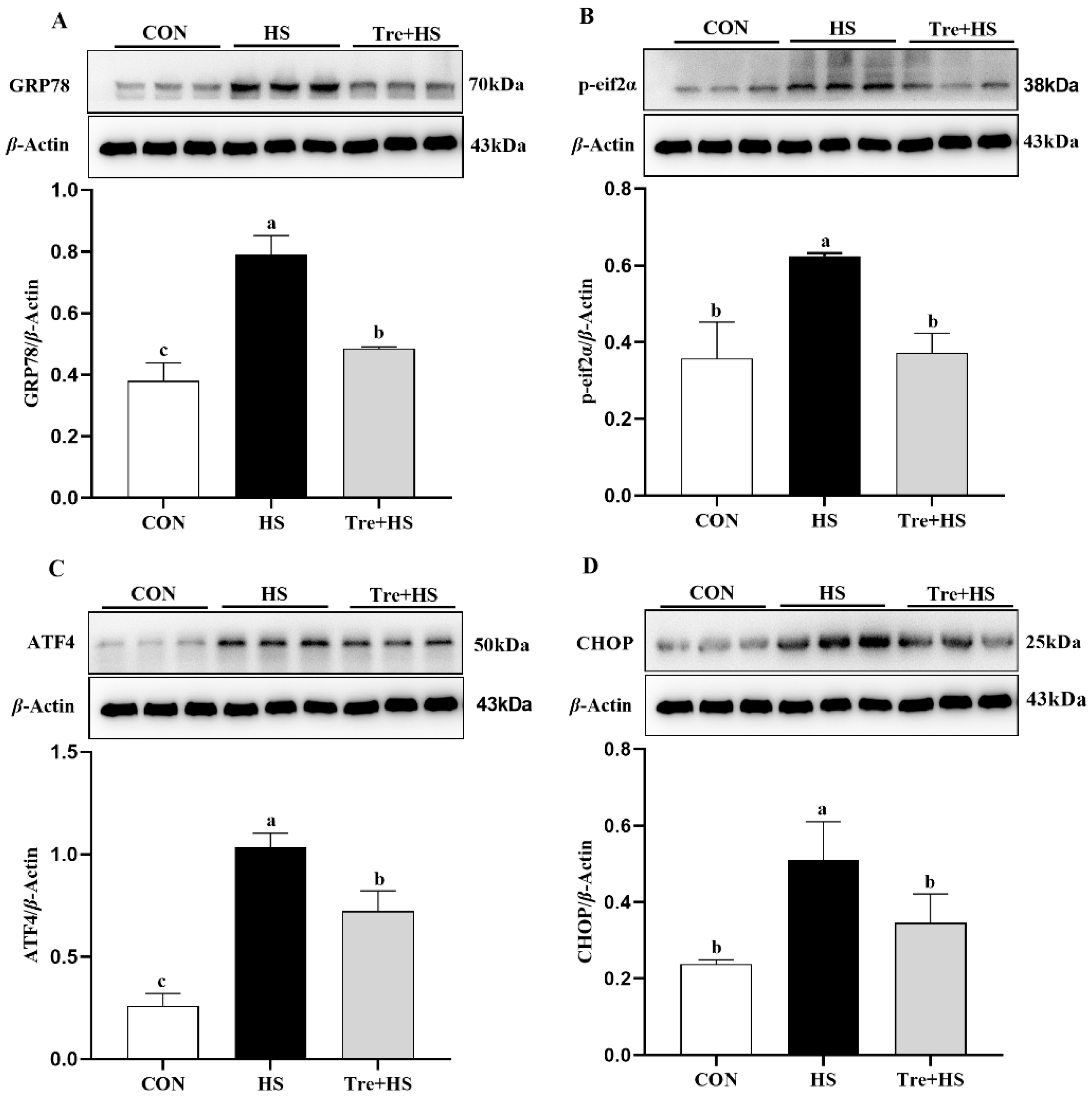 Animals 12 02093 g003