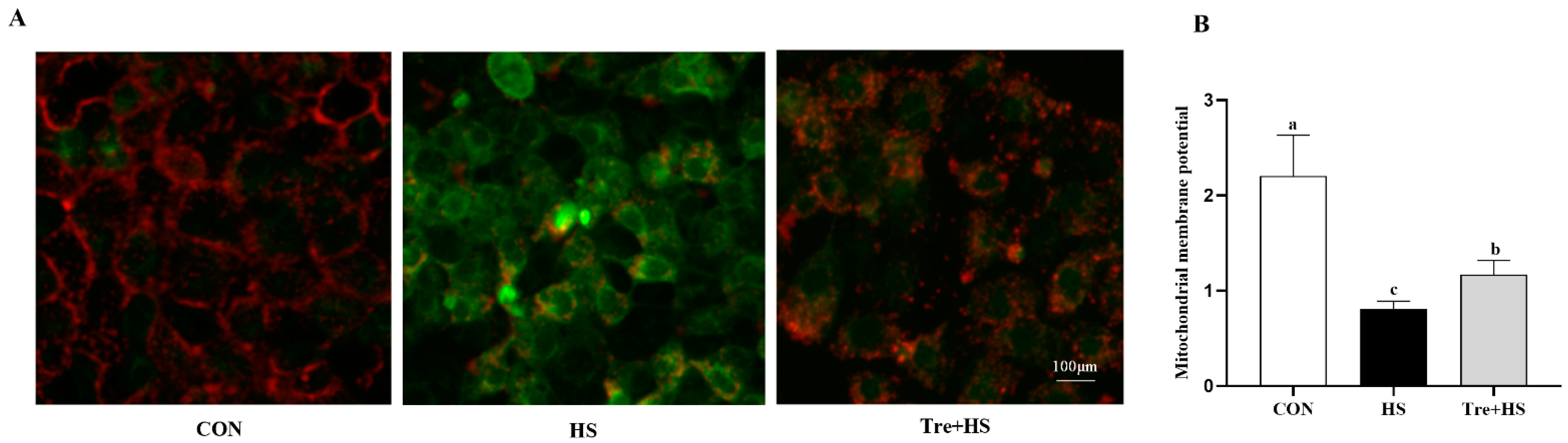 Animals 12 02093 g004