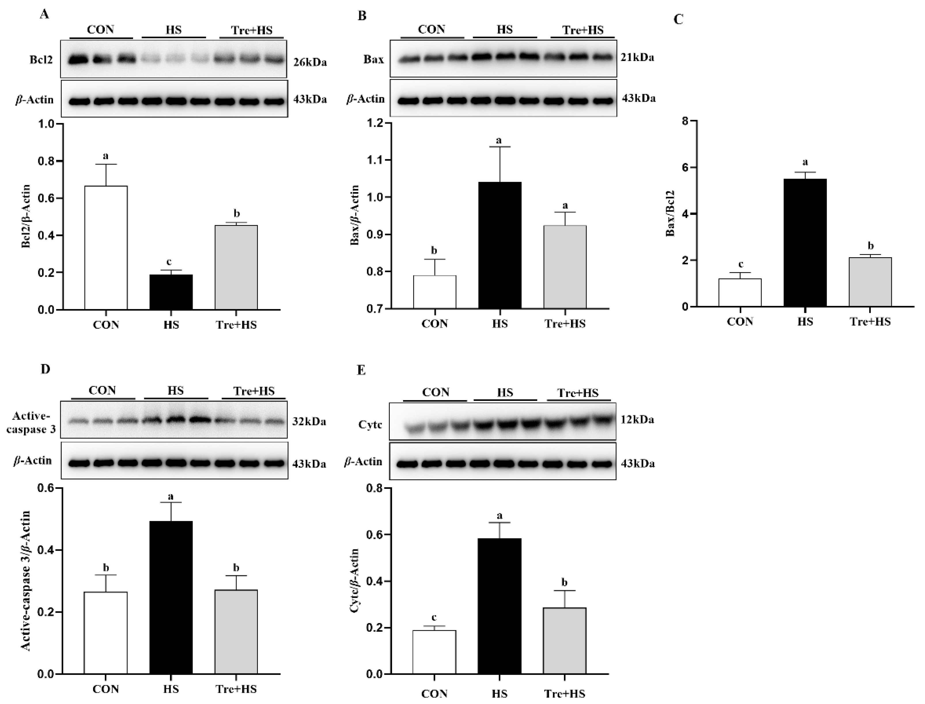 Animals 12 02093 g006