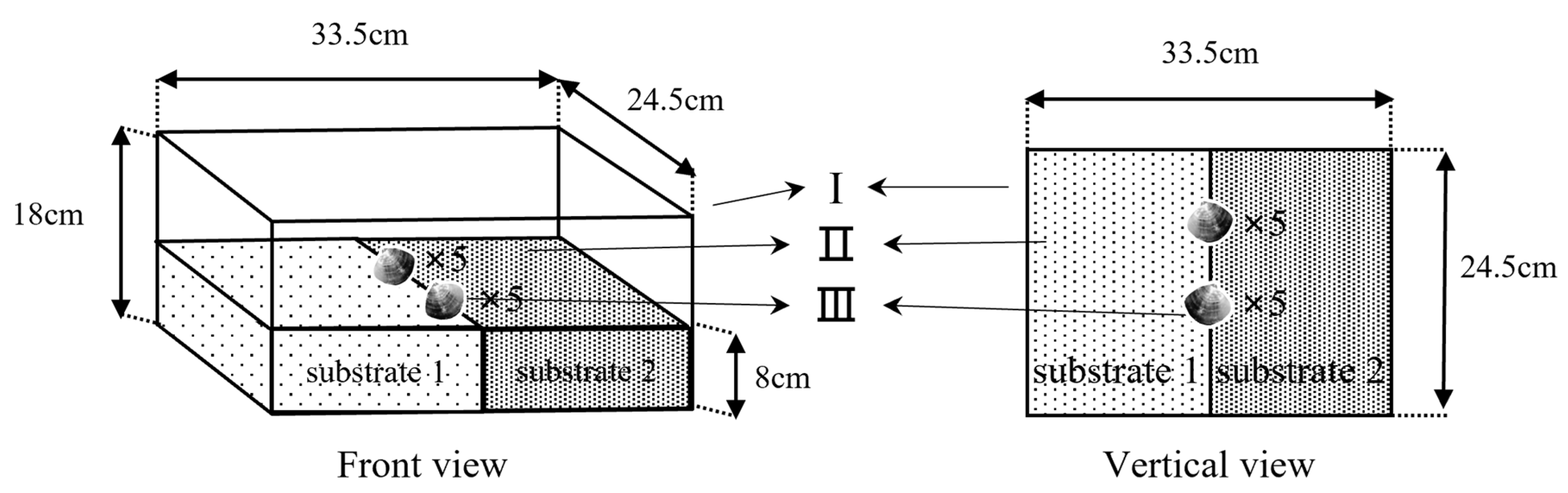 Animals 12 02094 g002