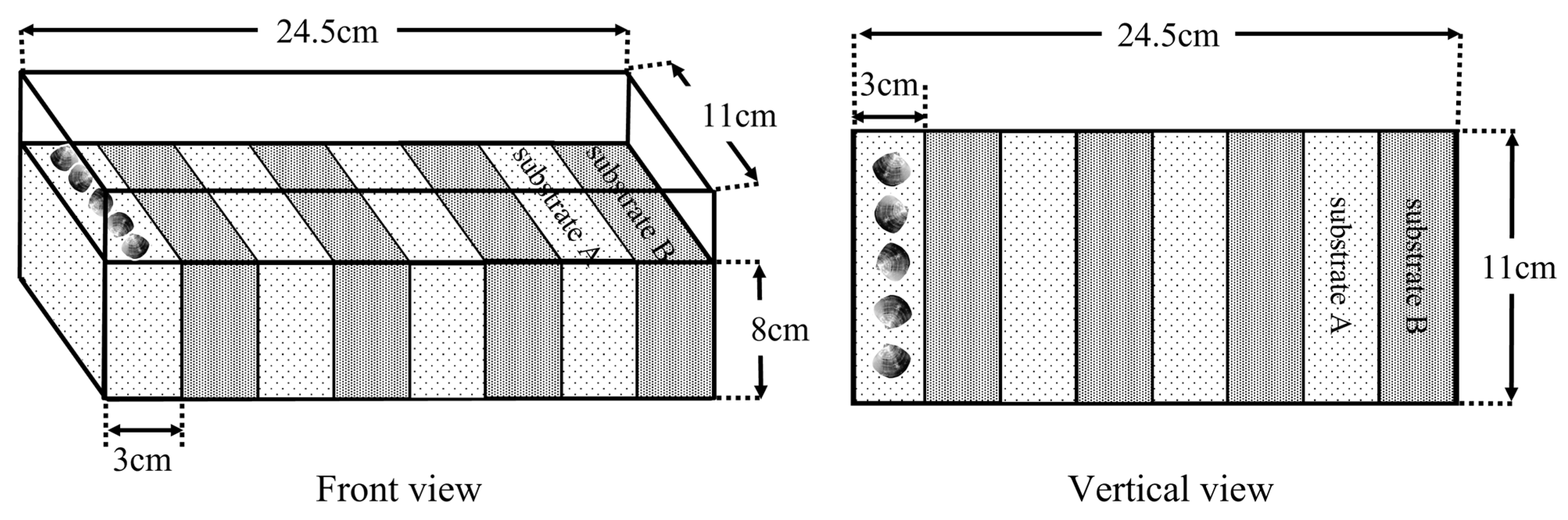 Animals 12 02094 g004