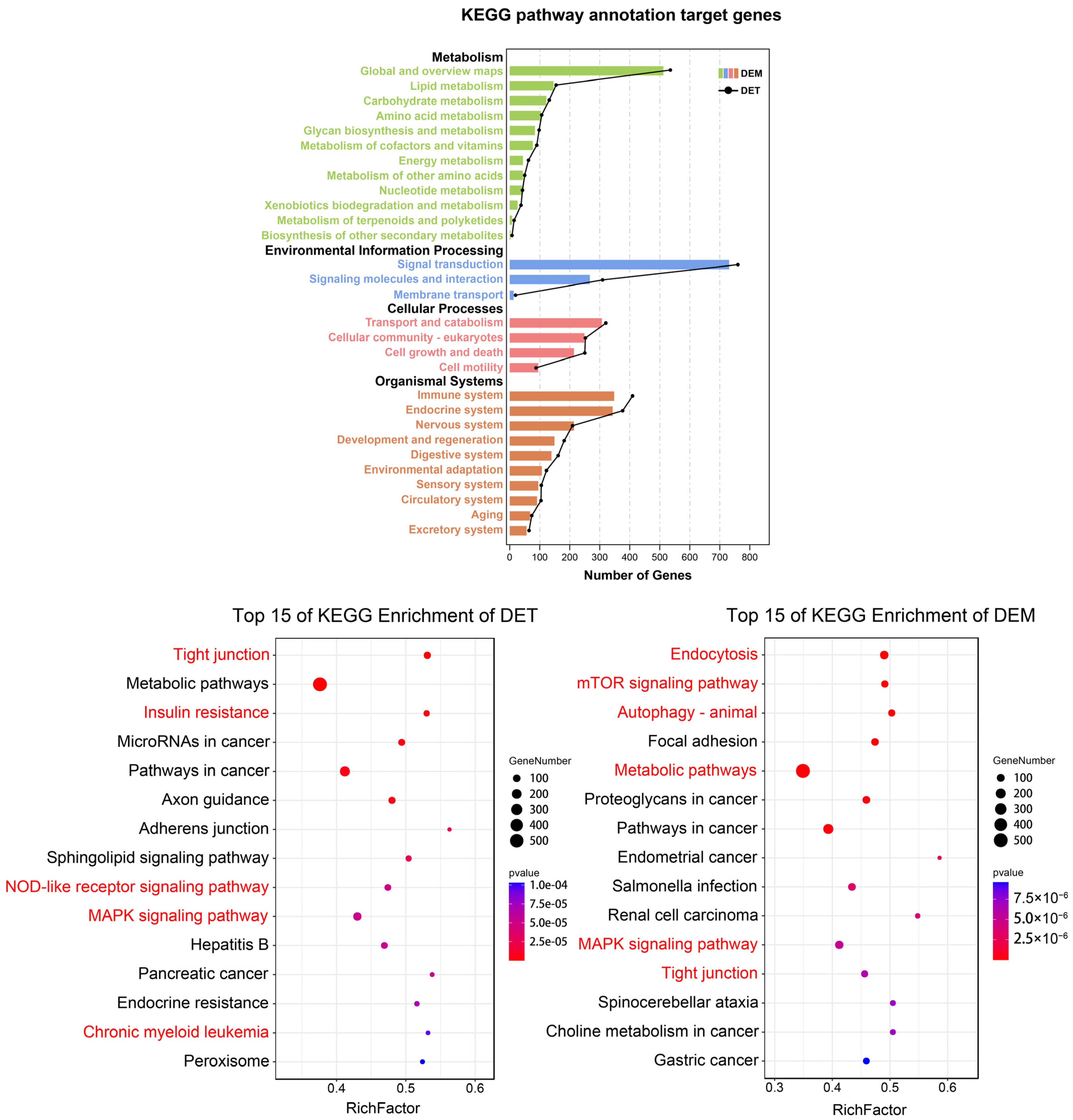 Animals 12 02102 g007