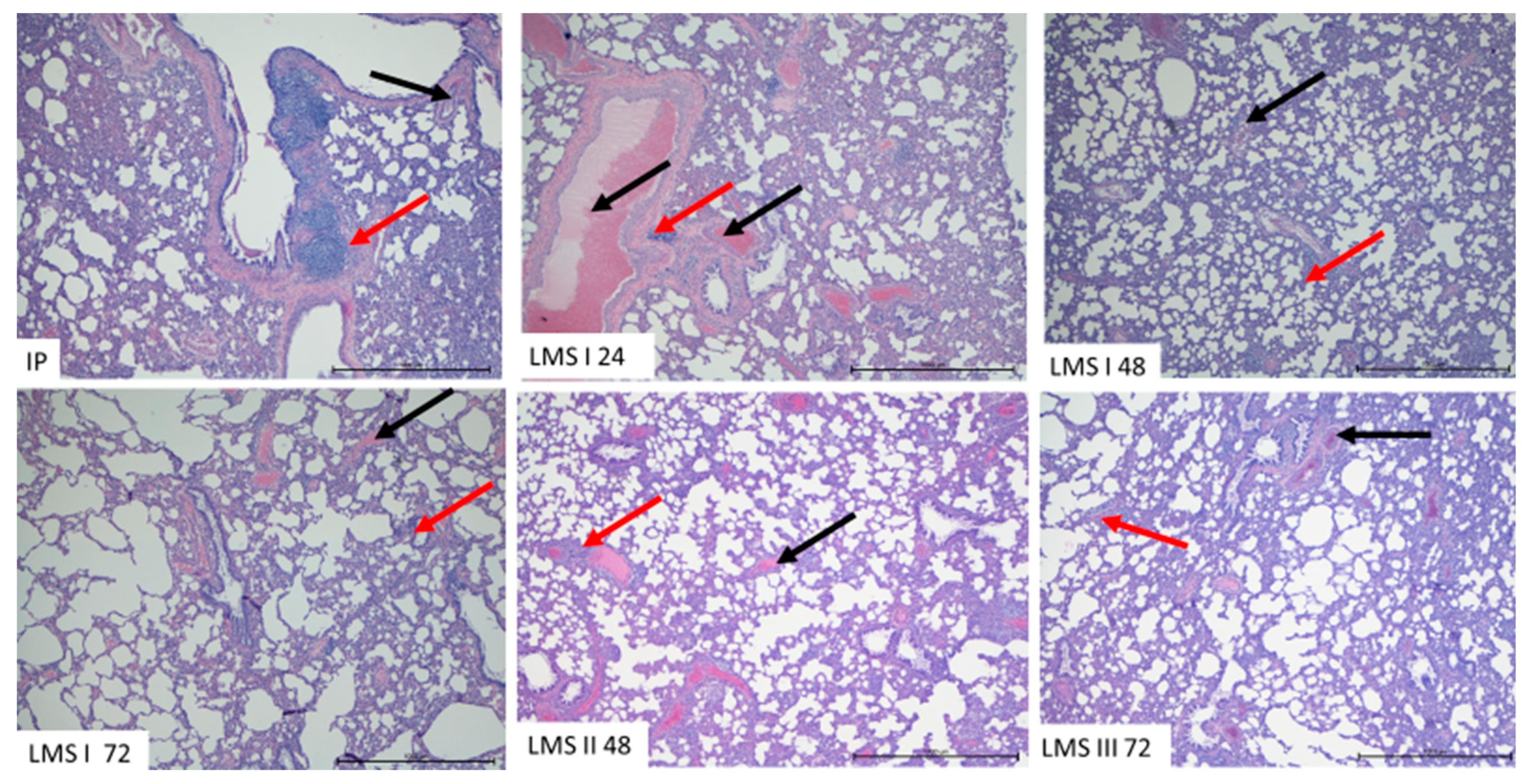 Animals 12 02110 g004