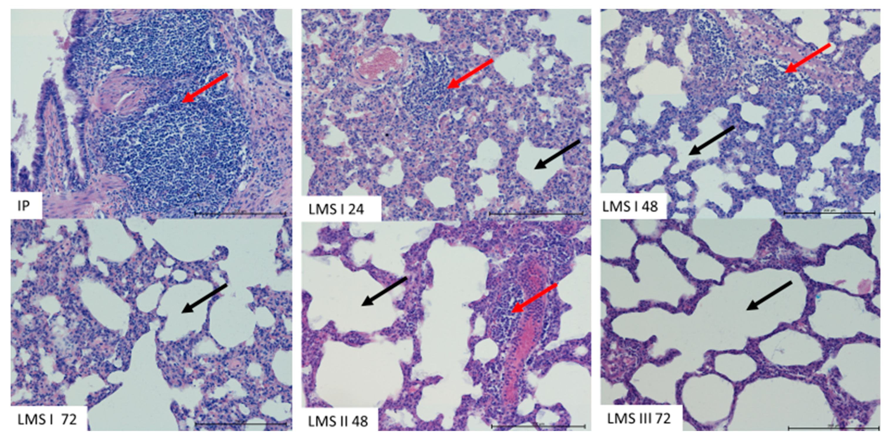 Animals 12 02110 g005