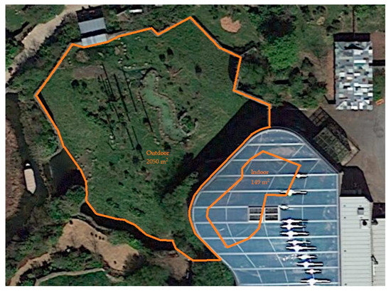 Animals 12 02123 g0a4 550