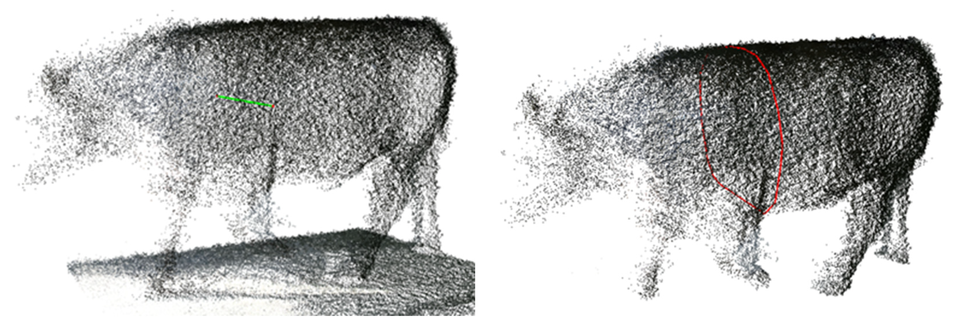 Animals 12 02128 g004