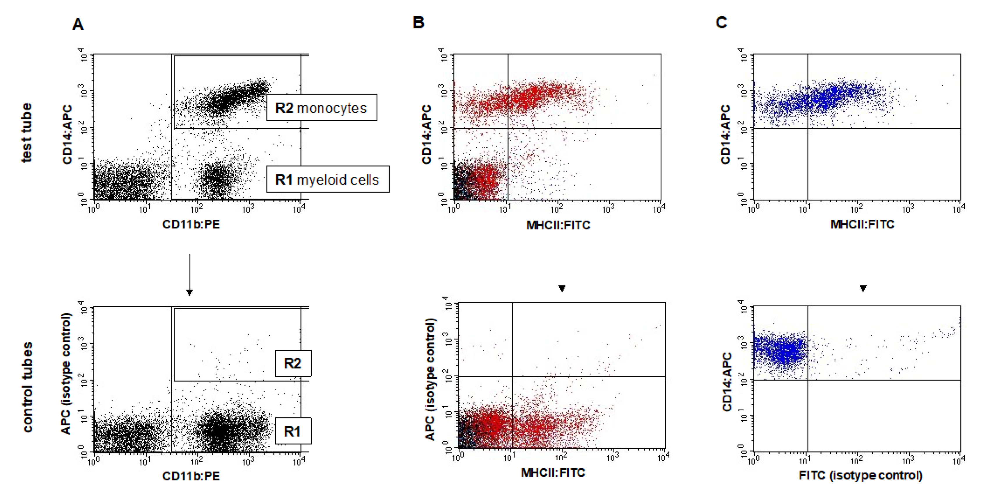 Animals 12 02135 g002