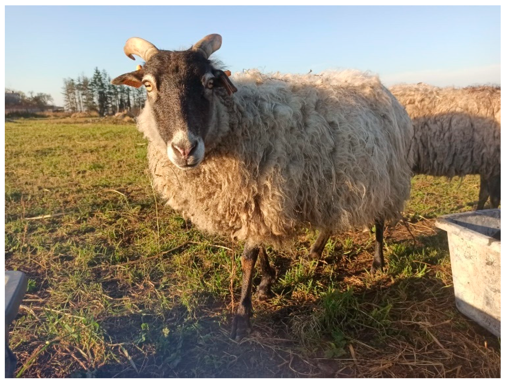 Animals 12 02139 g002