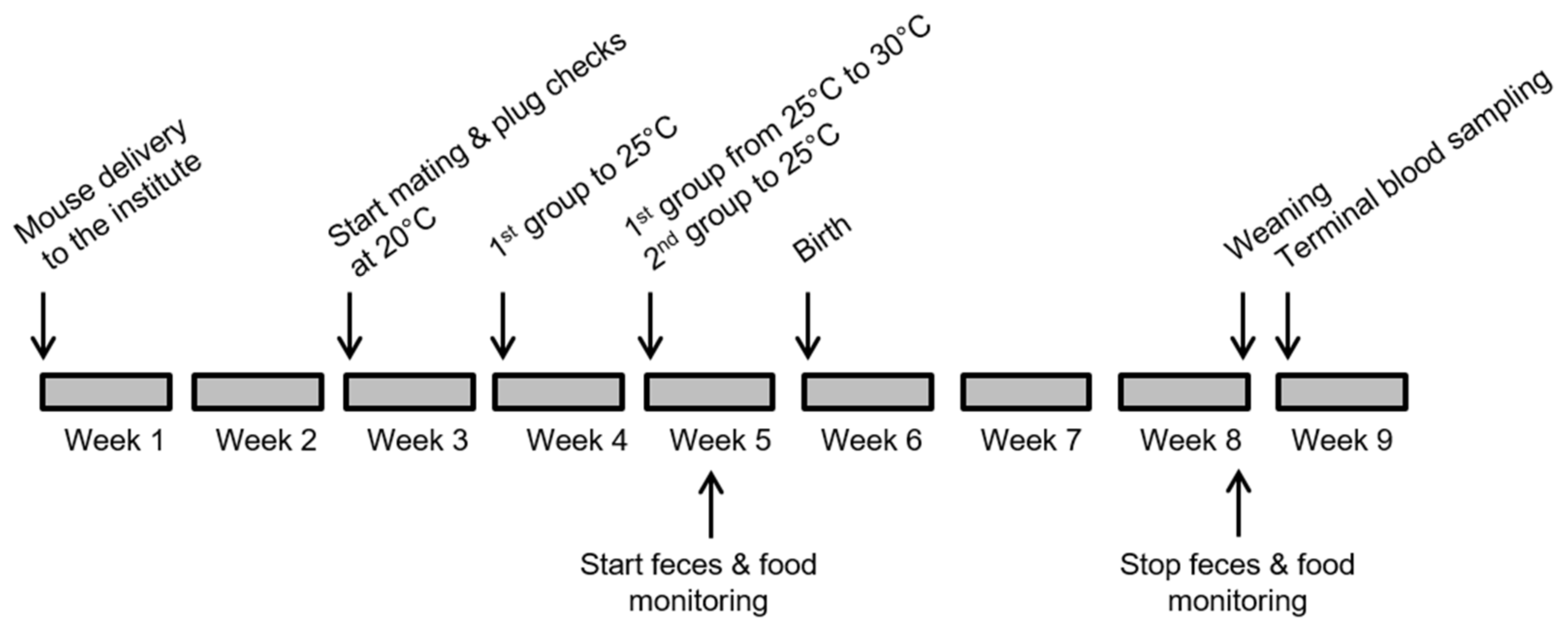 Animals 12 02141 g001