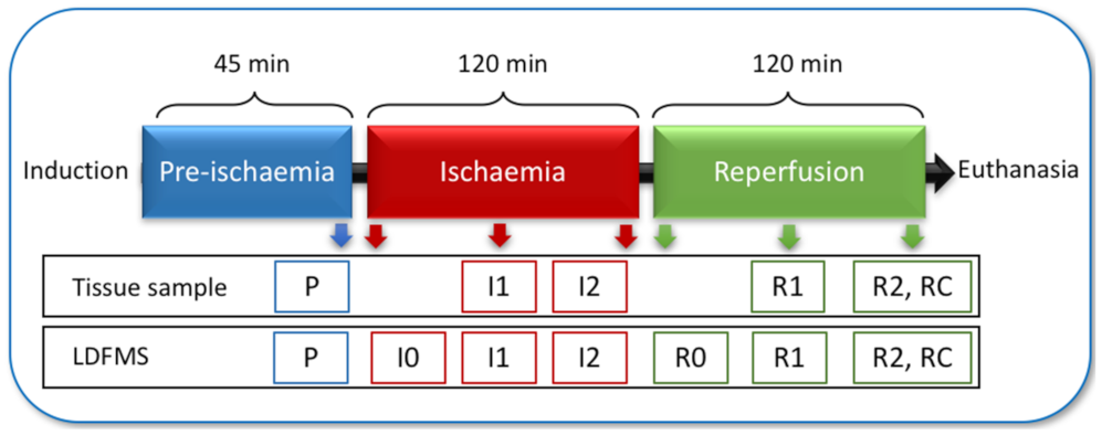 Animals 12 02158 g001