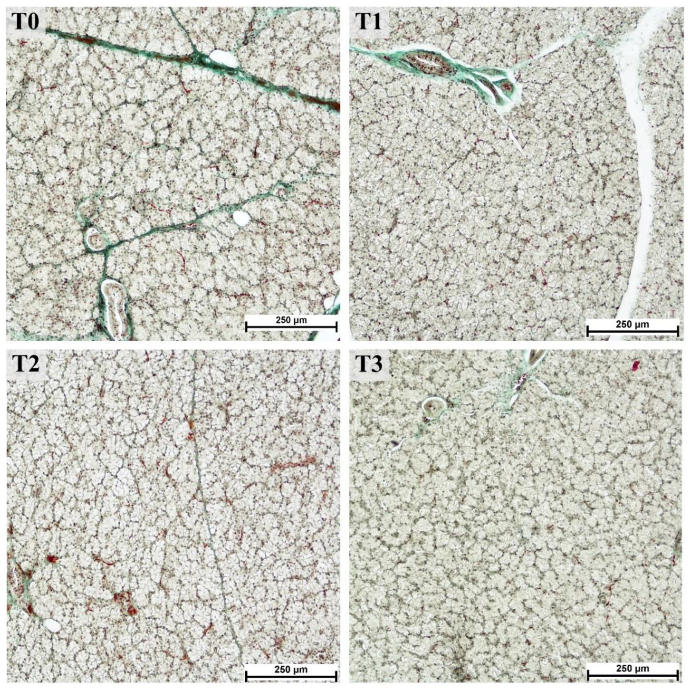 Animals 12 02171 g001