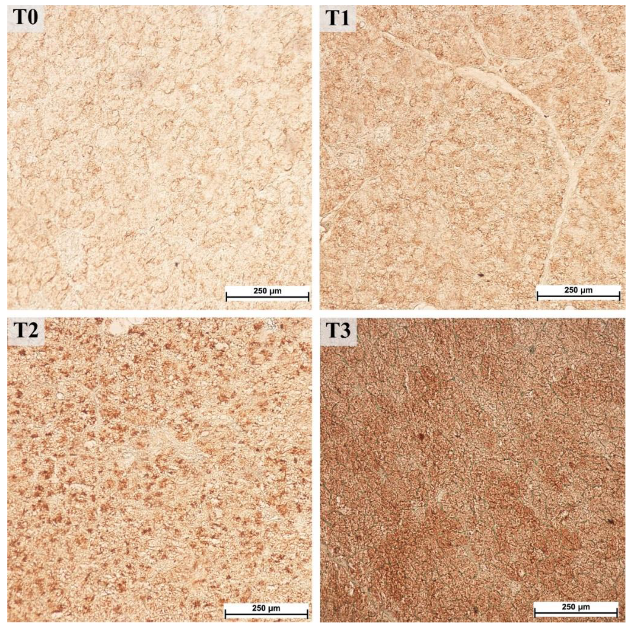 Animals 12 02171 g003