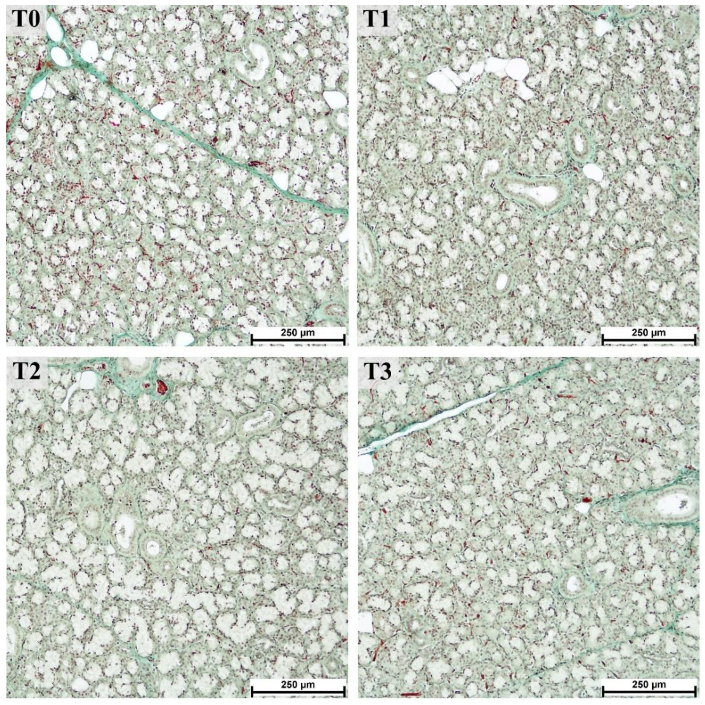 Animals 12 02171 g007