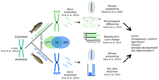Animals 12 02174 g002