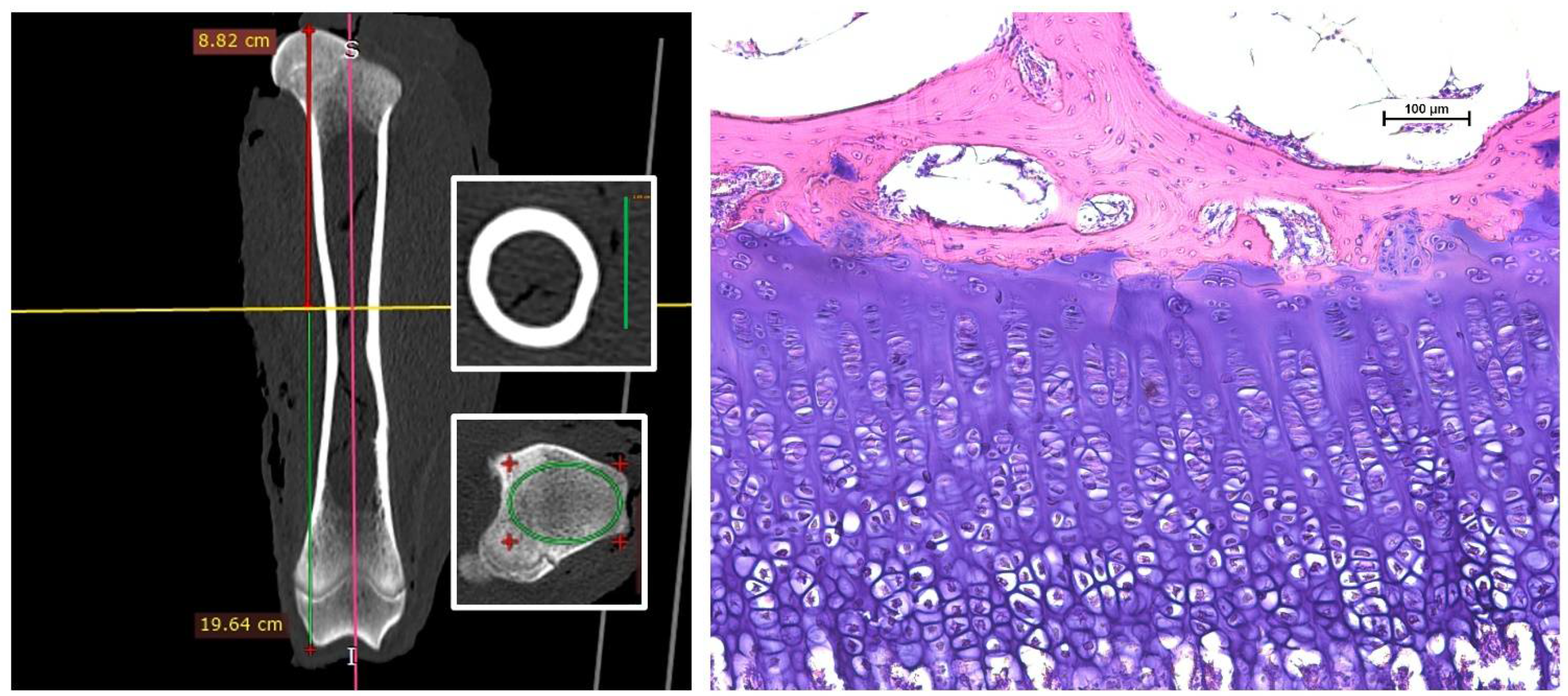 Animals 12 02179 g001