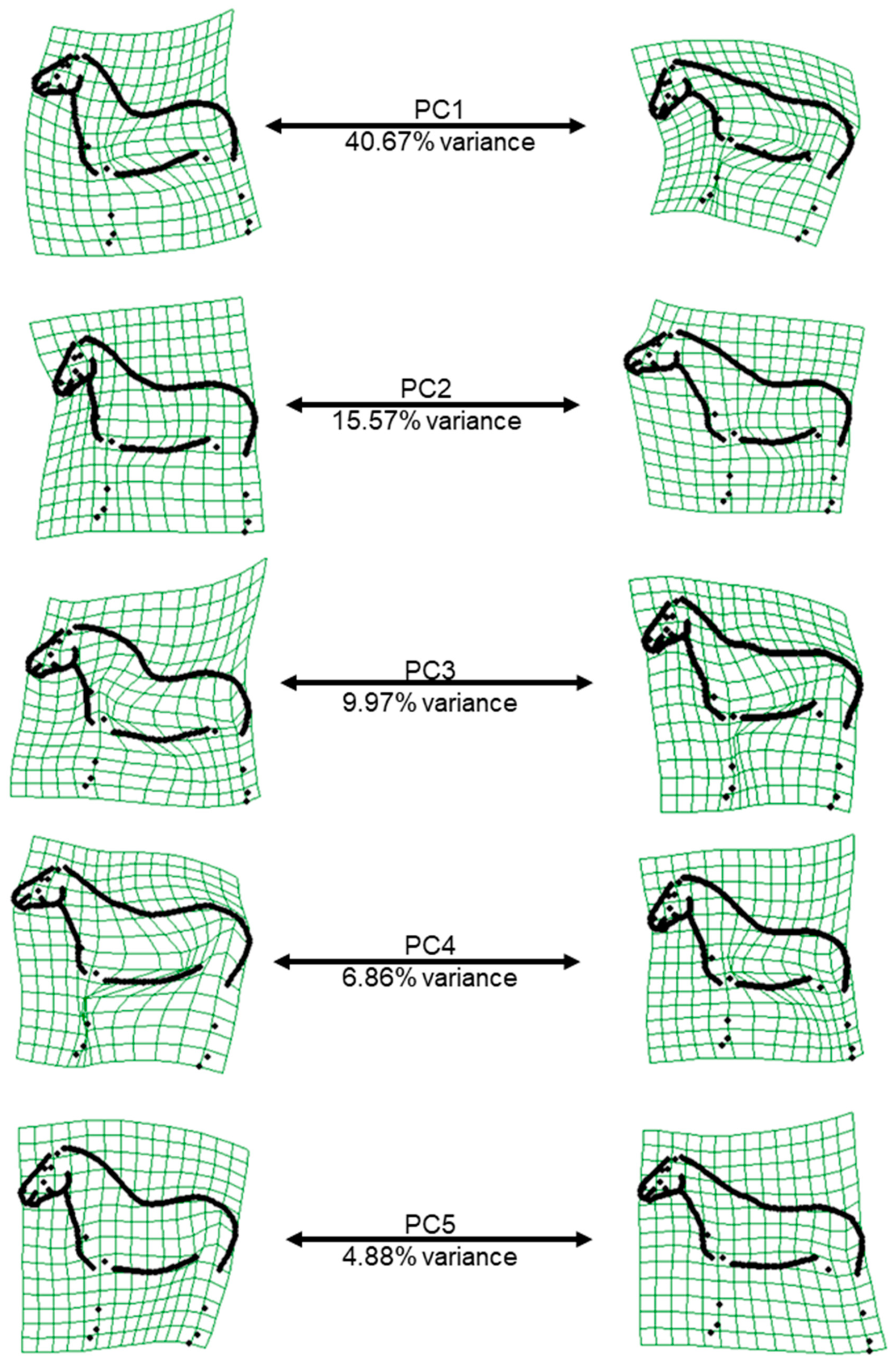 Animals 12 02186 g002