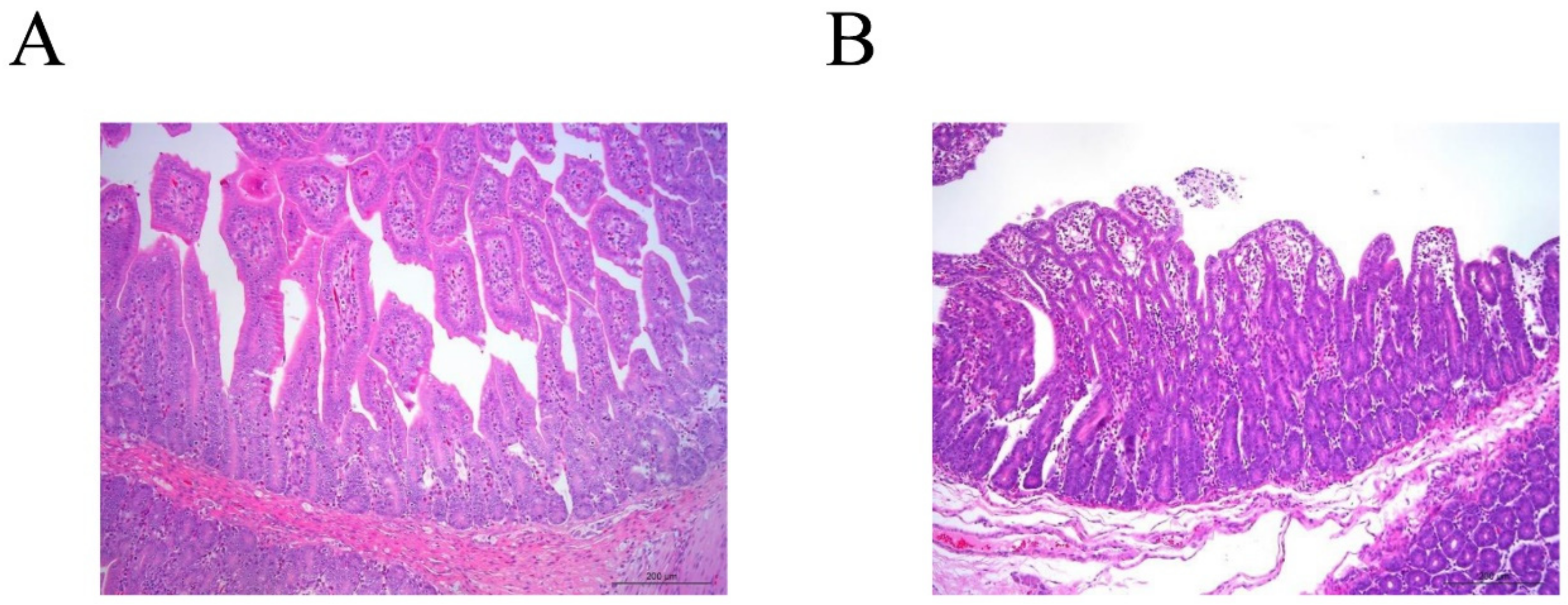 Animals 12 02189 g002