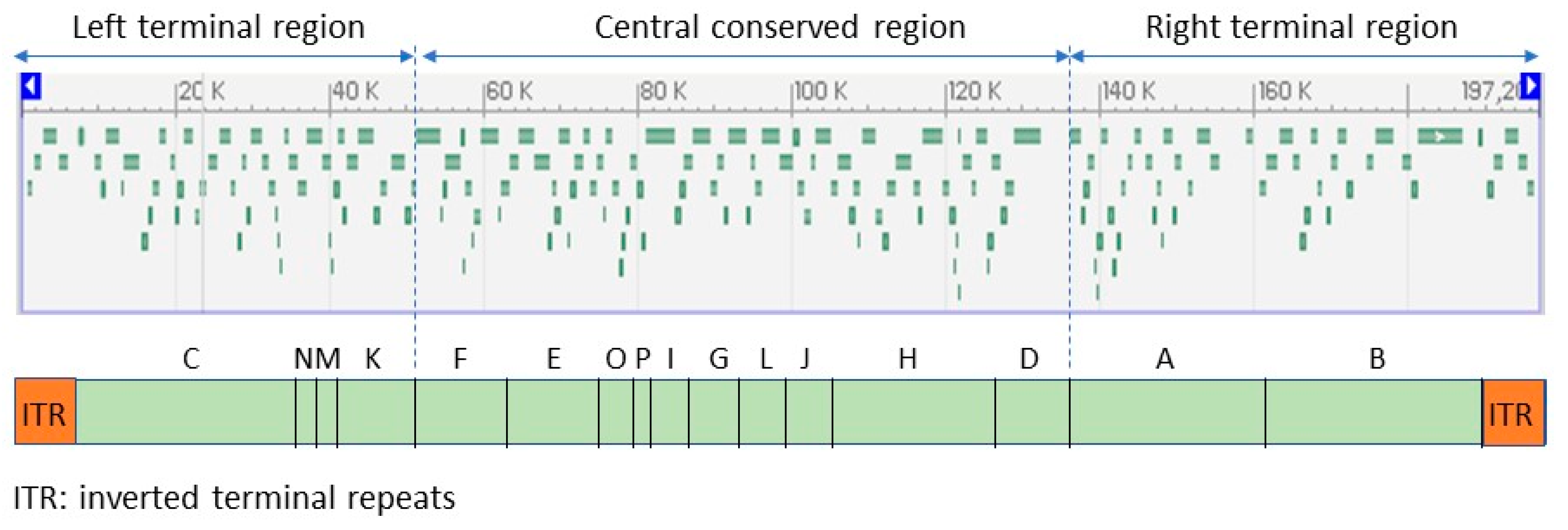 Animals 12 02190 g002