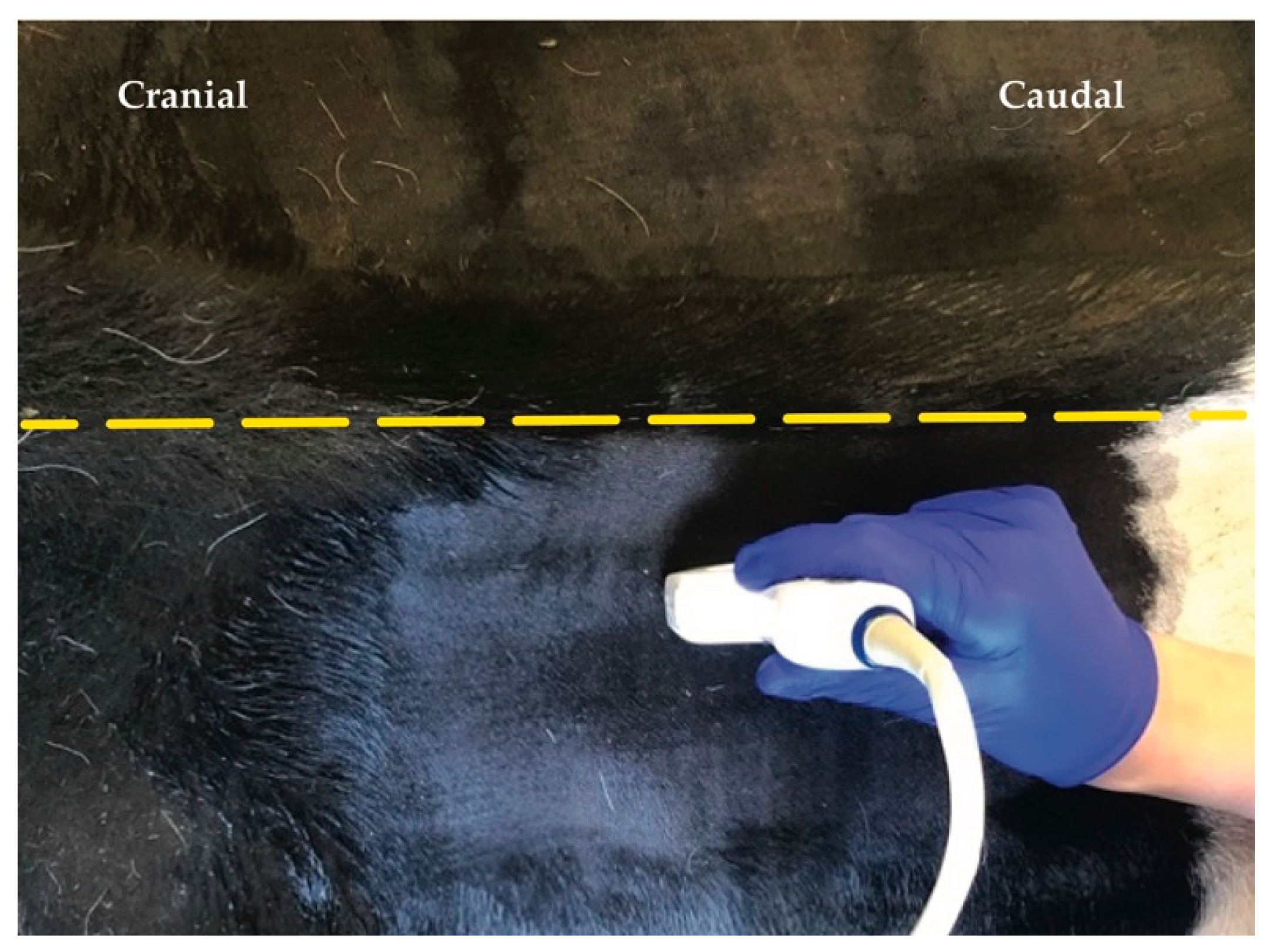 Animals 12 02191 g003