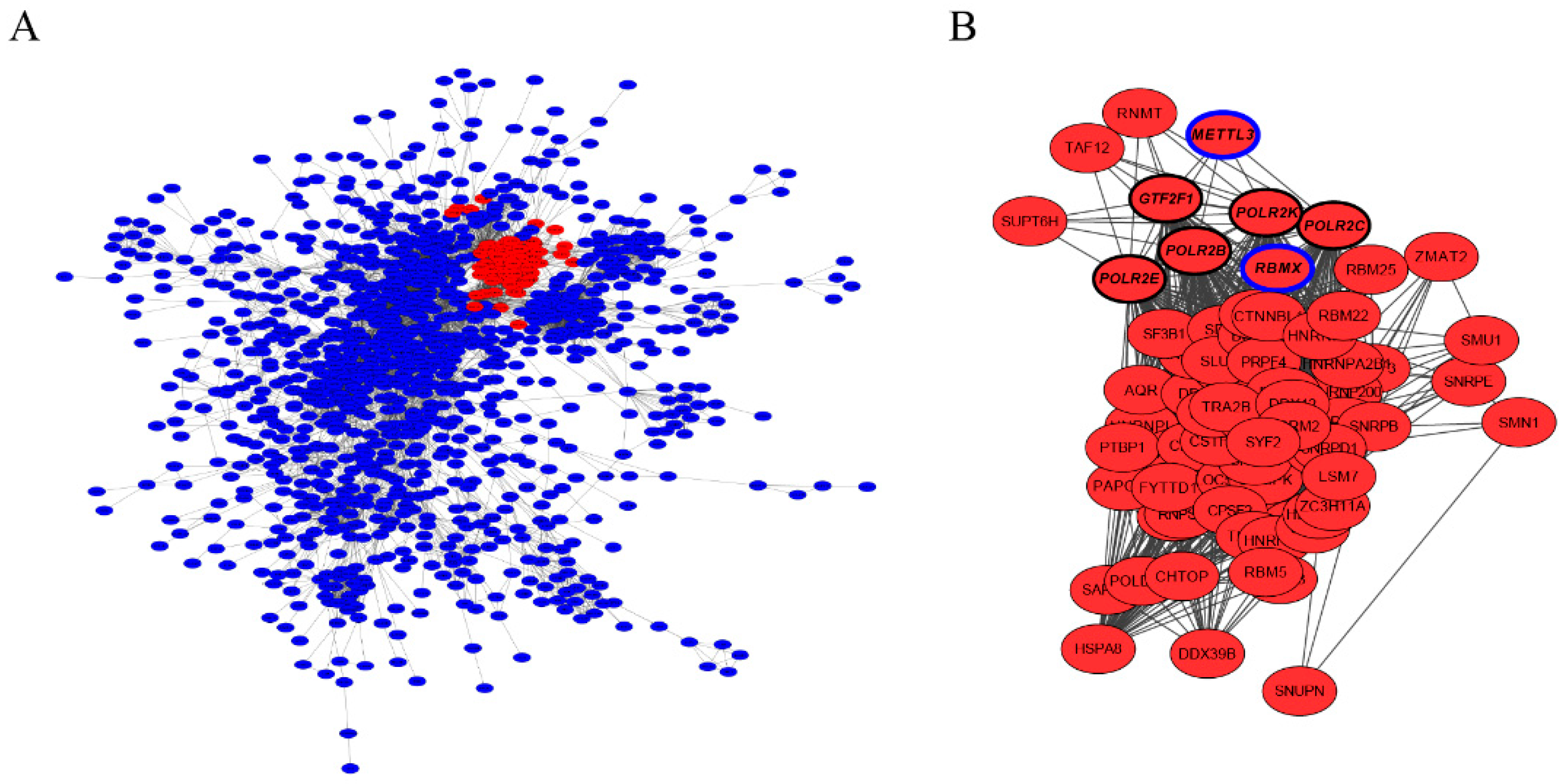 Animals 12 02203 g003