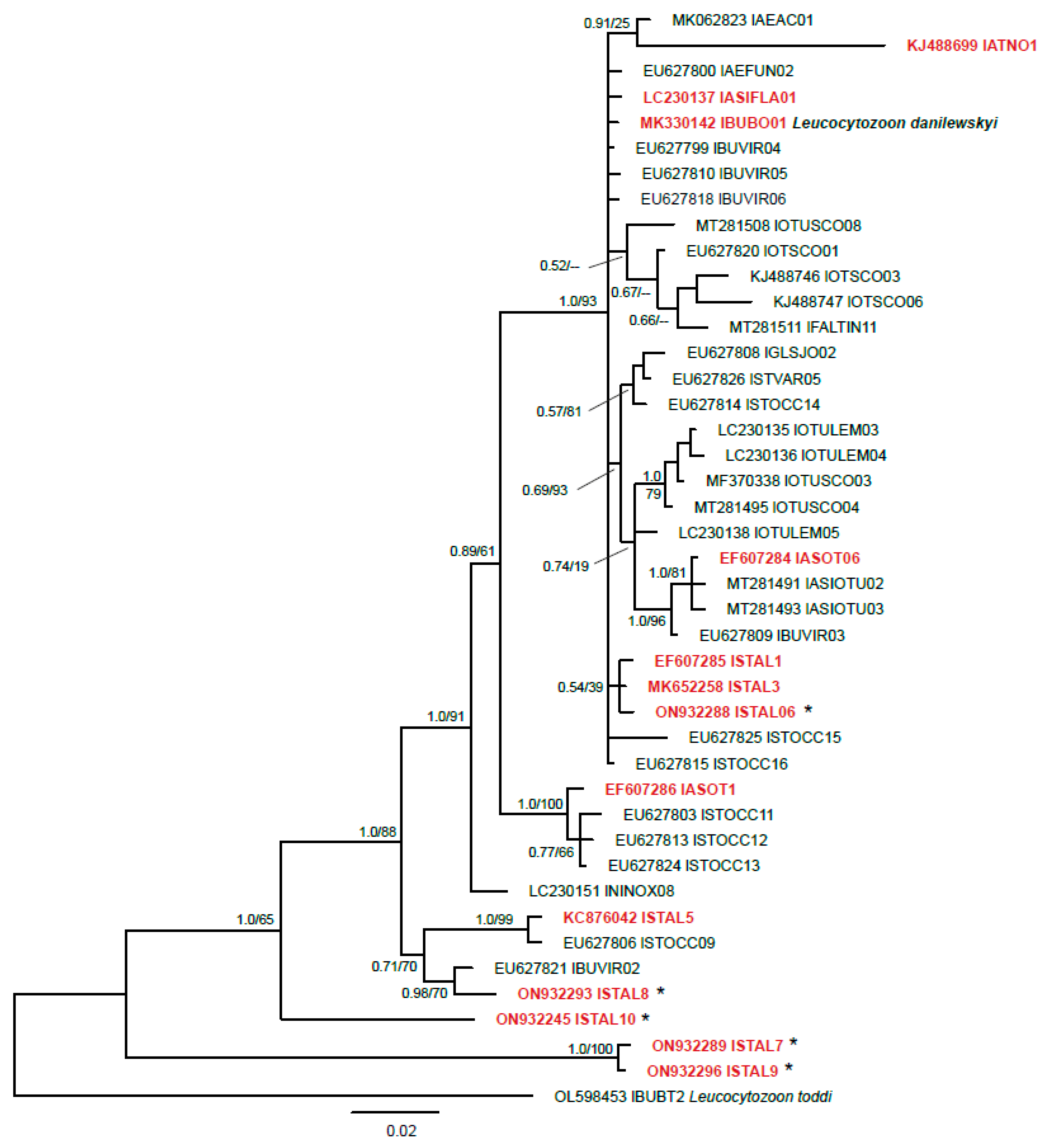 Animals 12 02212 g002