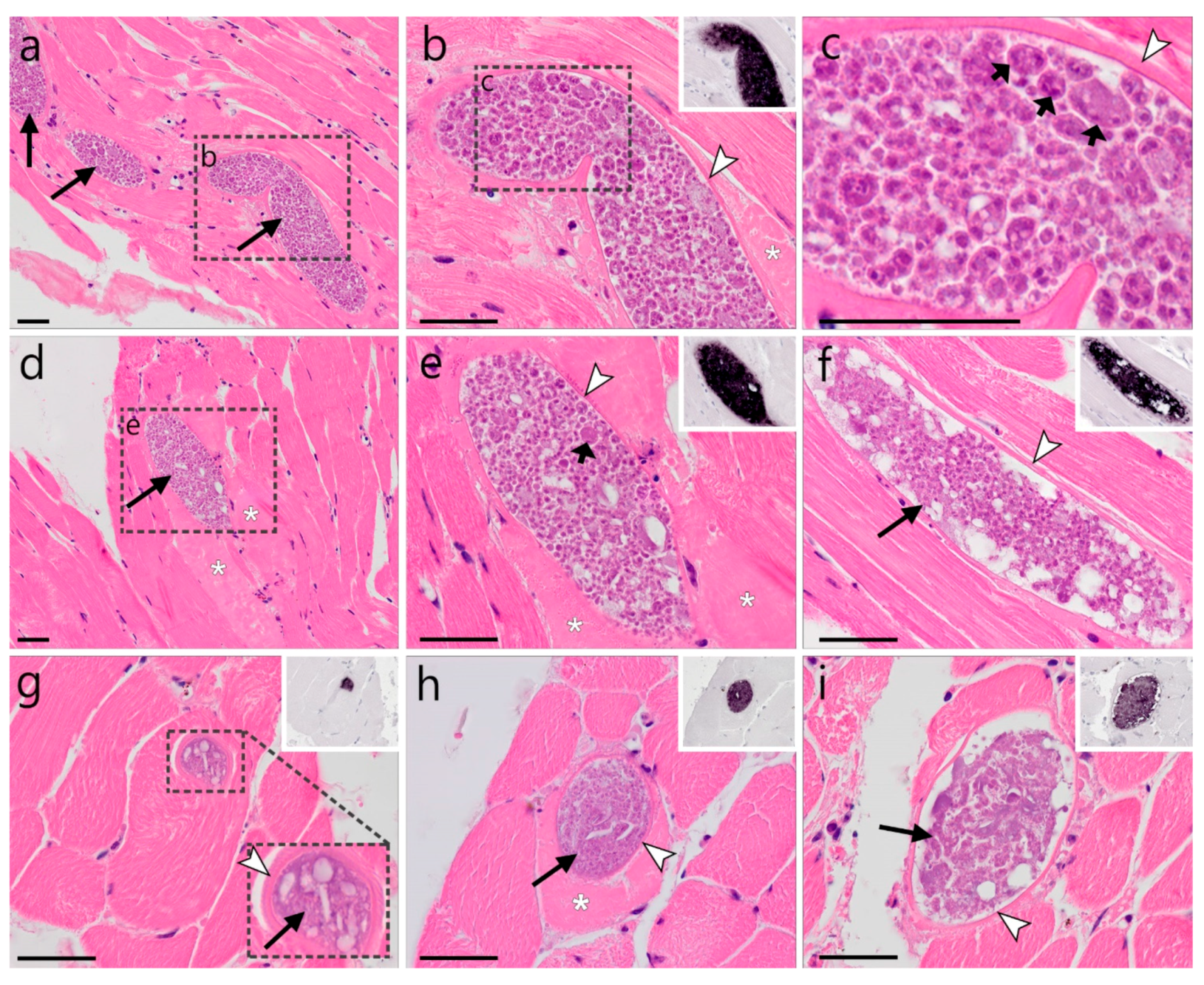 Animals 12 02212 g006