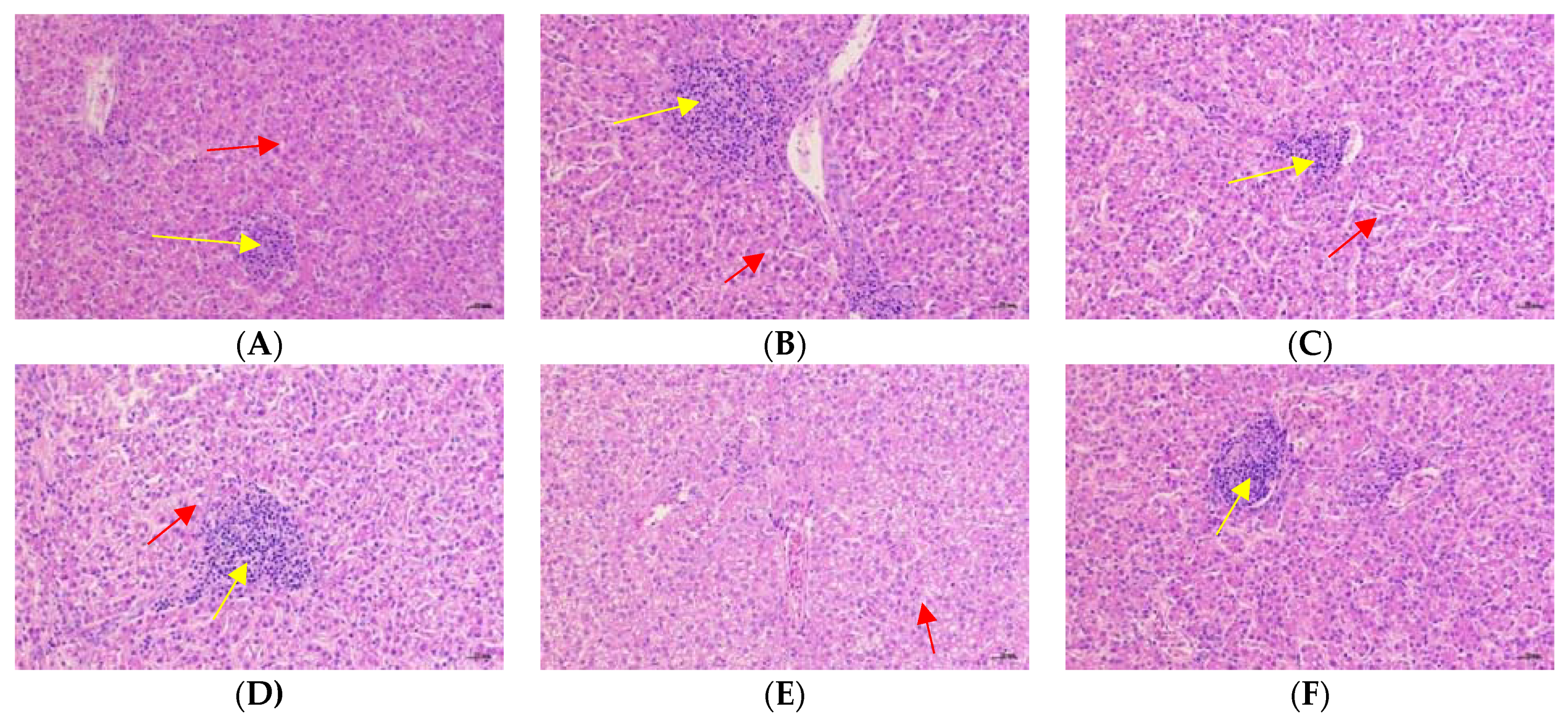 Animals 12 02216 g003