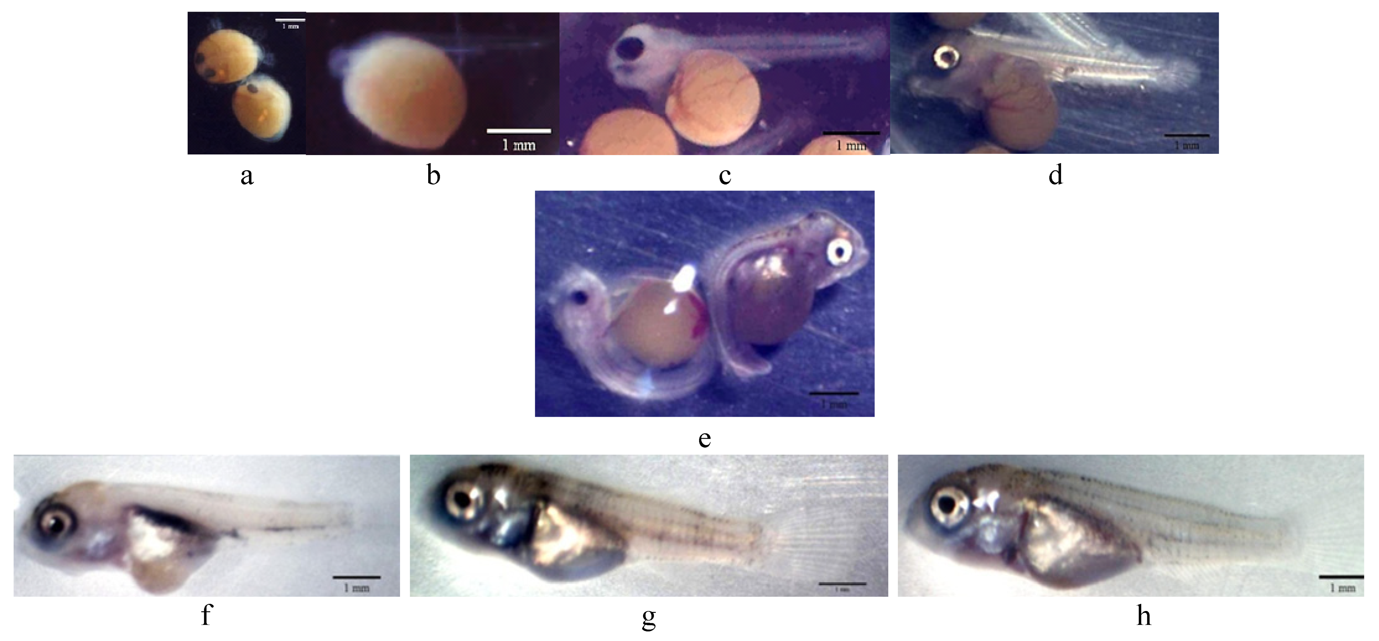 Animals 12 02219 g001 Animals 12 02219 g001