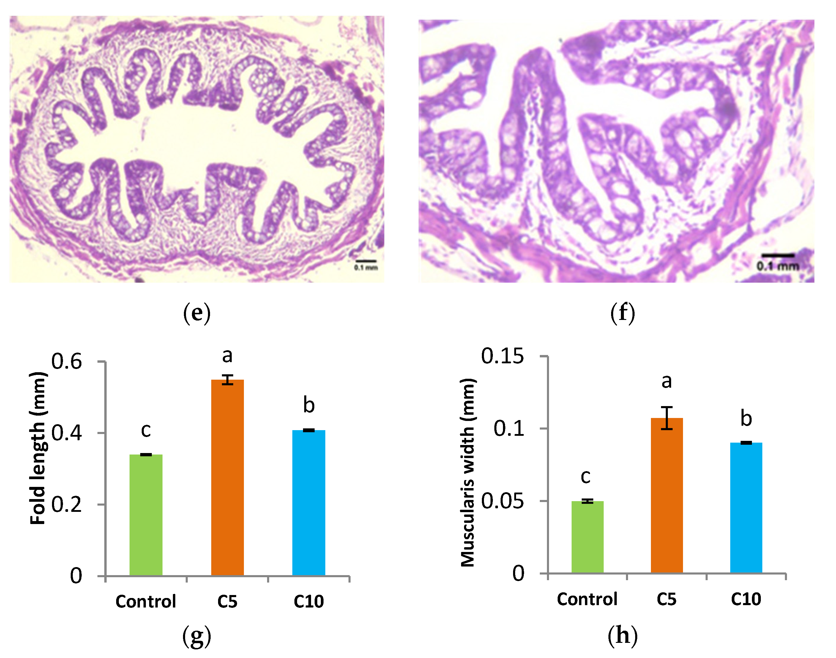 Animals 12 02219 g002b Animals 12 02219 g002b
