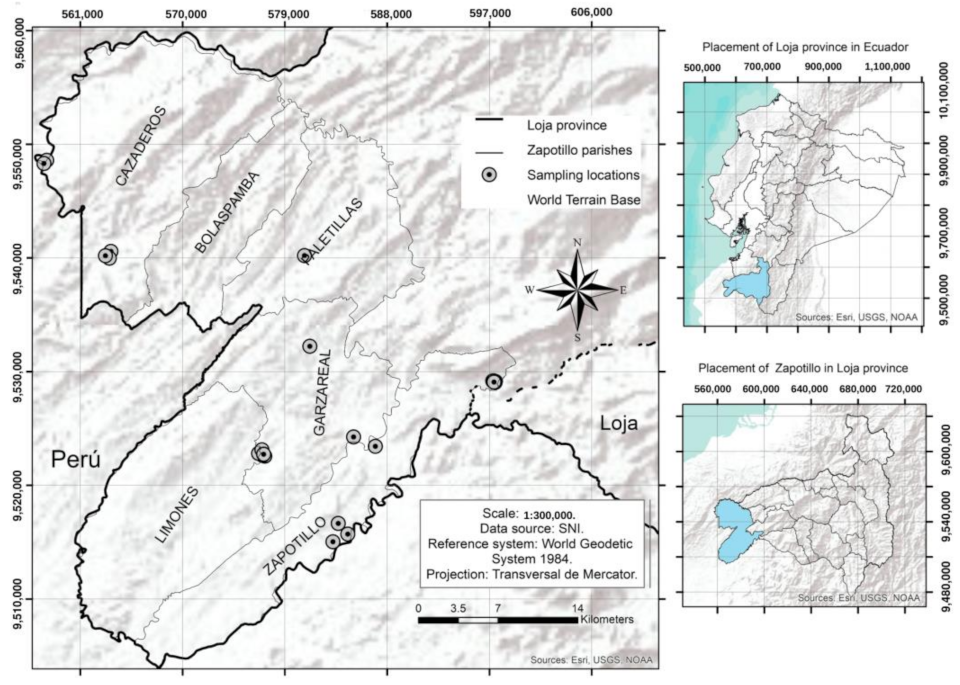 Animals 12 02224 g001