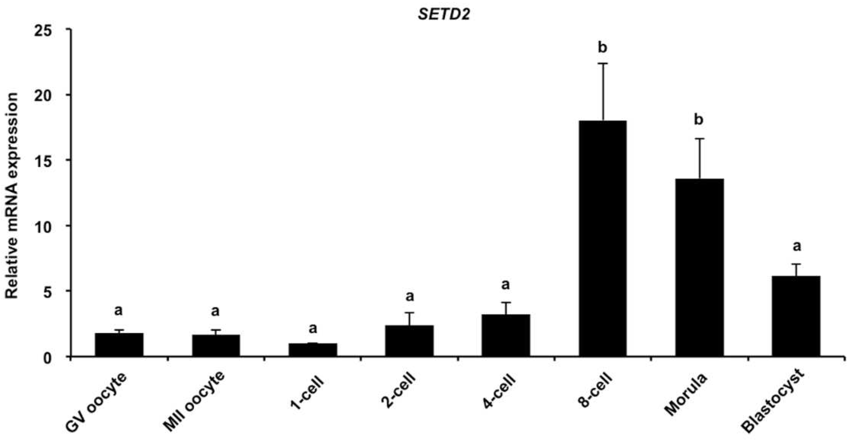 Animals 12 02226 g001