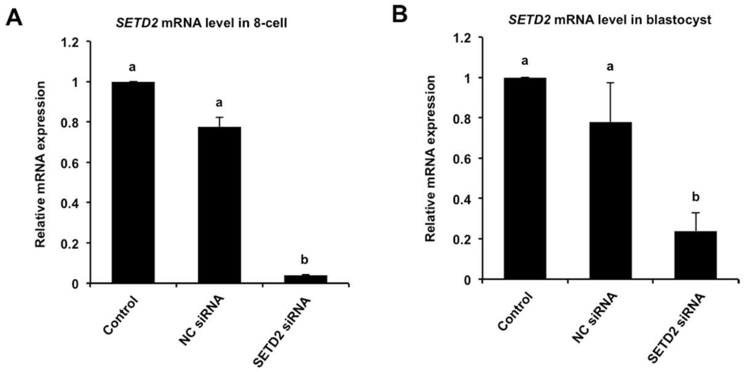 Animals 12 02226 g002